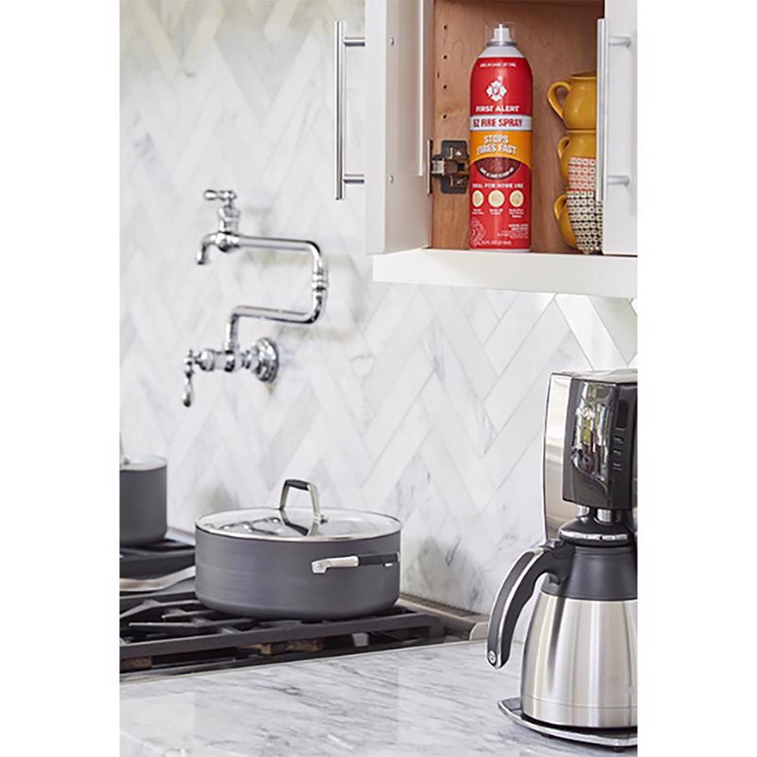 First Alert Tundra 14 oz Fire Extinguisher For Household OSHA Agency Approval