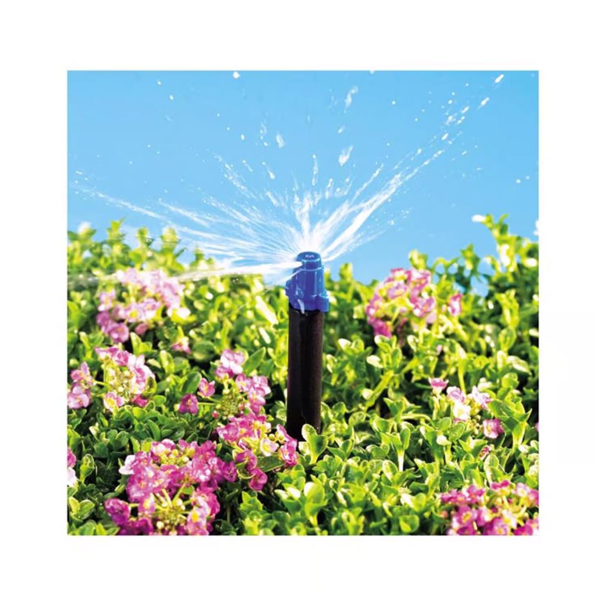 Raindrip Half-Circle Drip Irrigation Micro Spray 13 gph 10 Pack