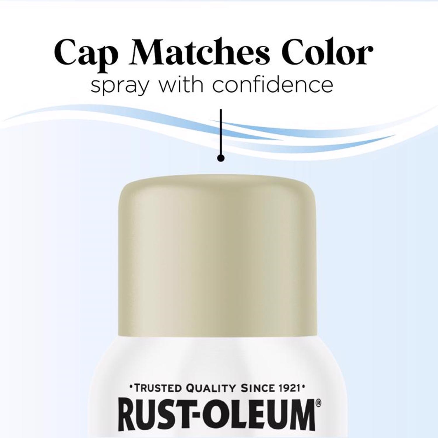 Rust-Oleum Low Odor Matte Moss Green Spray Paint 11 oz.