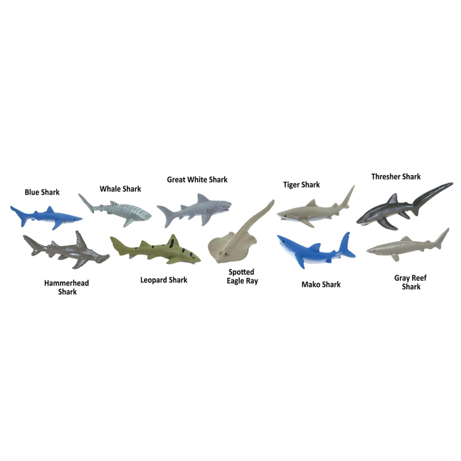 Safari Ltd. Toobs Sharks Toob Toy 10 pc