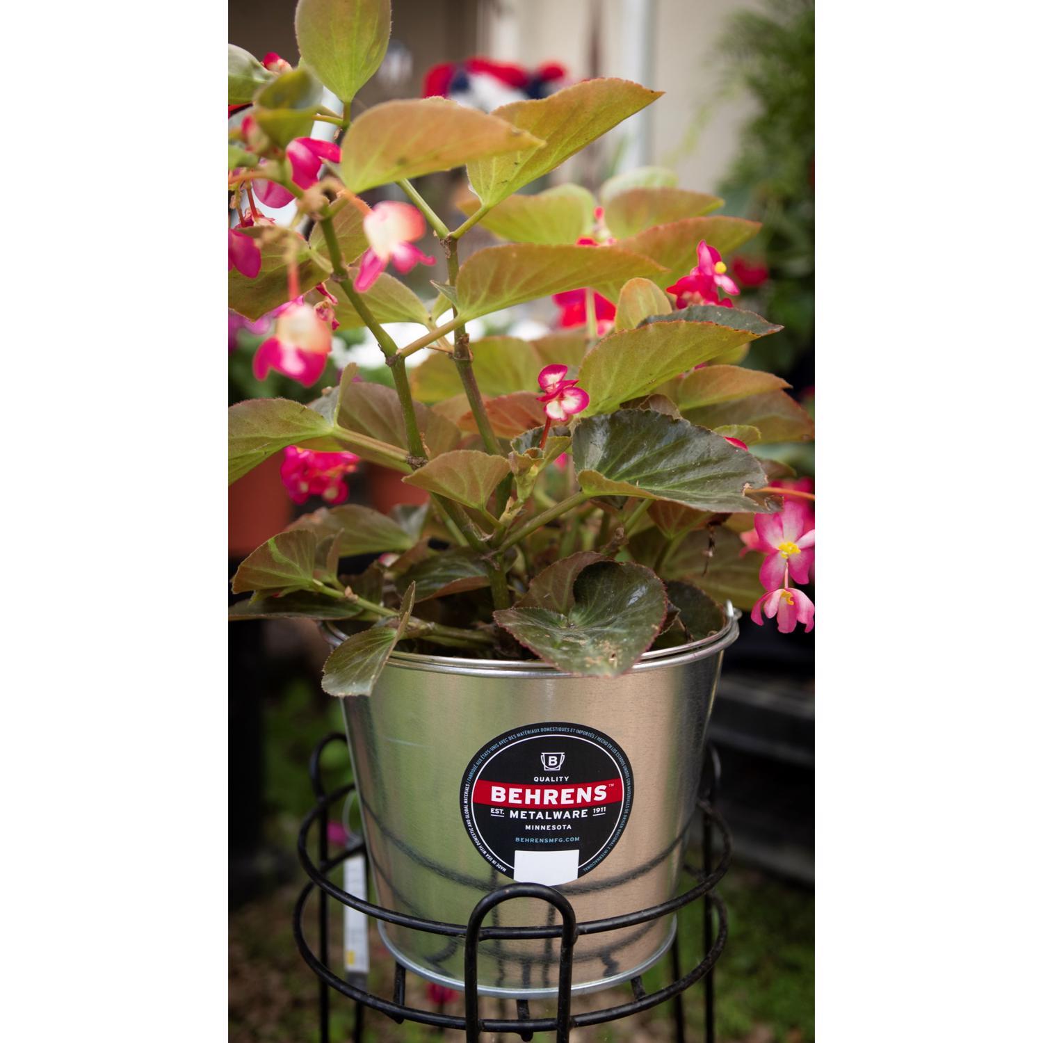 Behrens 5 qt Galvanized Pail Silver