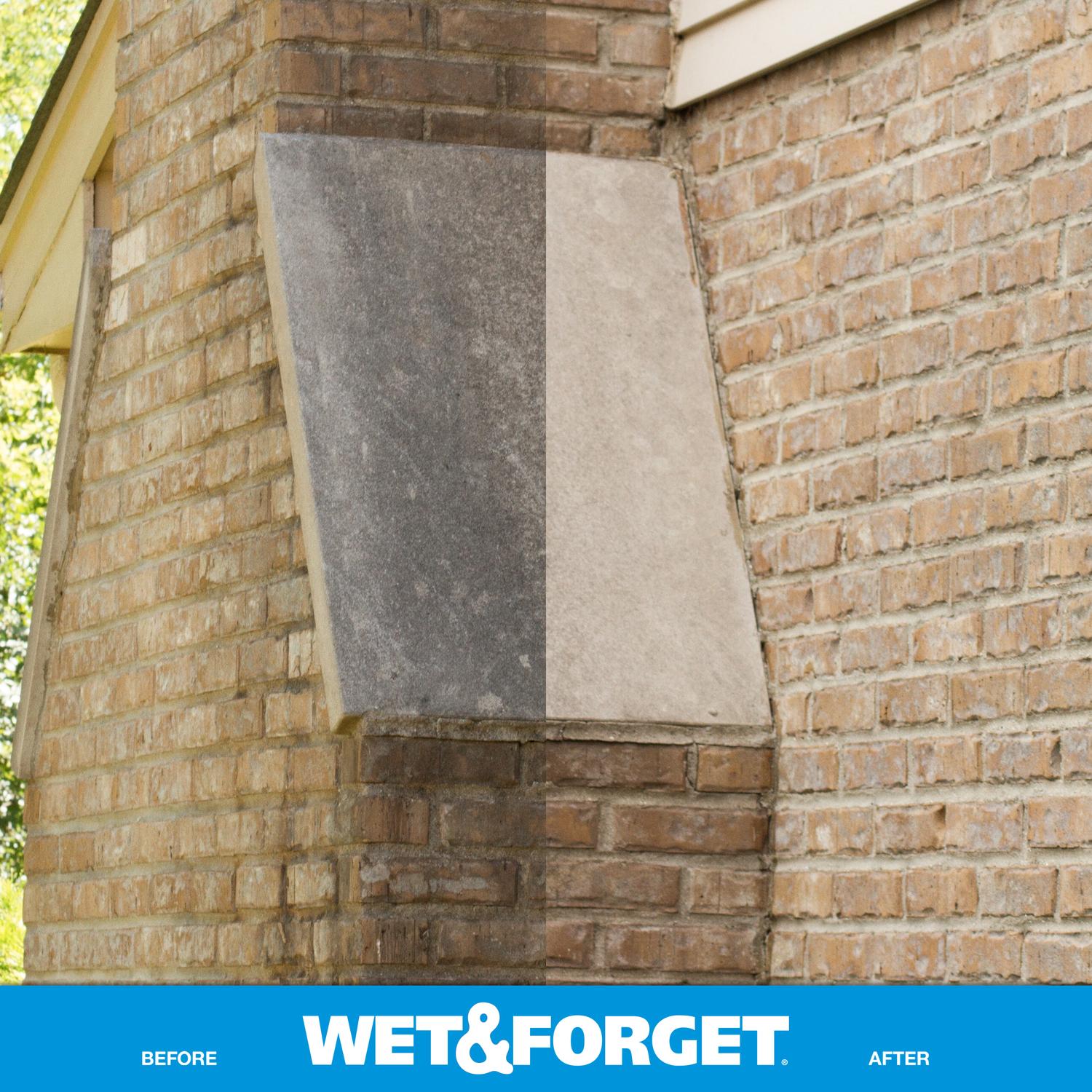 Wet & Forget Outdoor Cleaner 64 oz