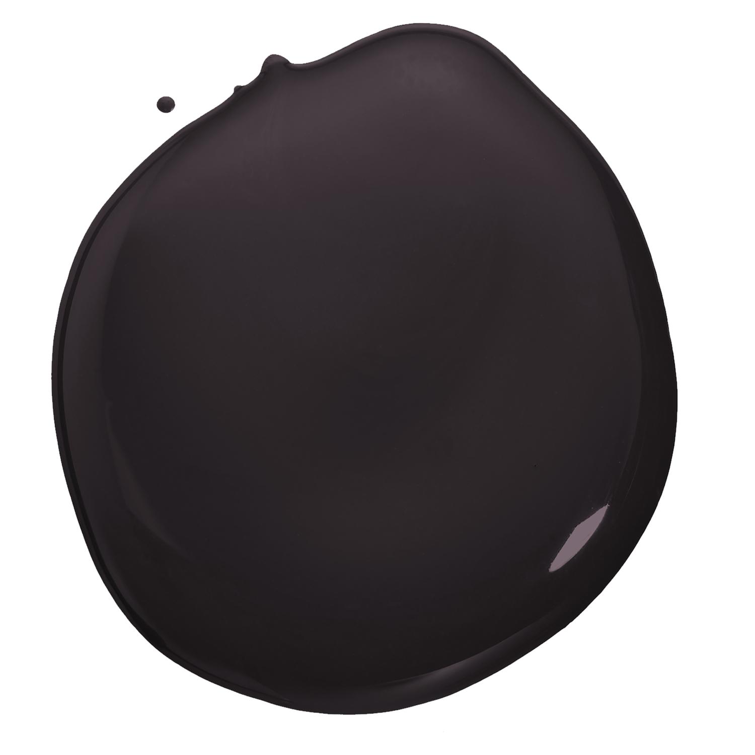 Beyond Paint Matte Licorice Water-Based Paint Exterior and Interior 1 gal