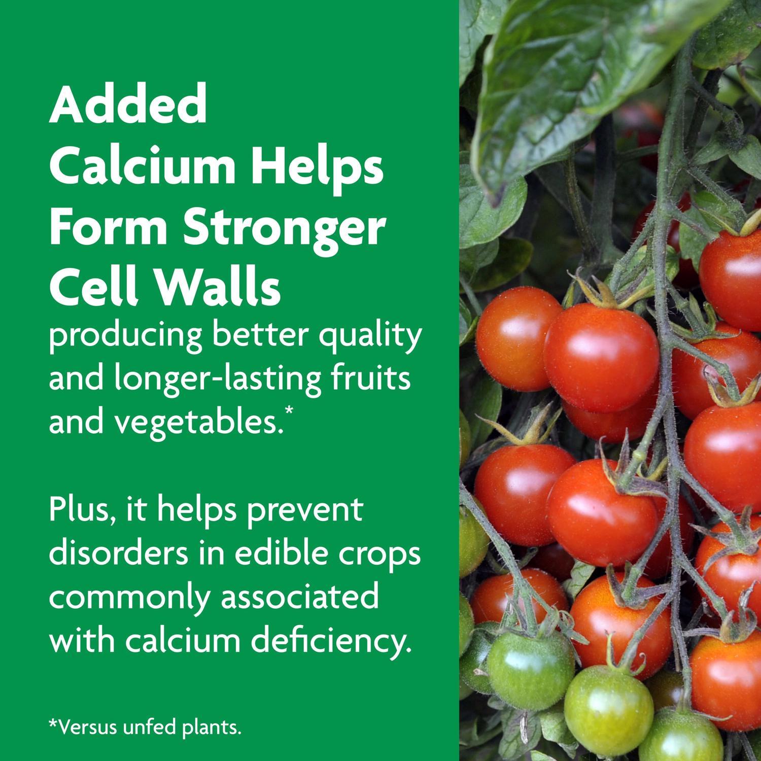 Miracle-Gro Shake 'n Feed Granules Plant Food 4.5 lb