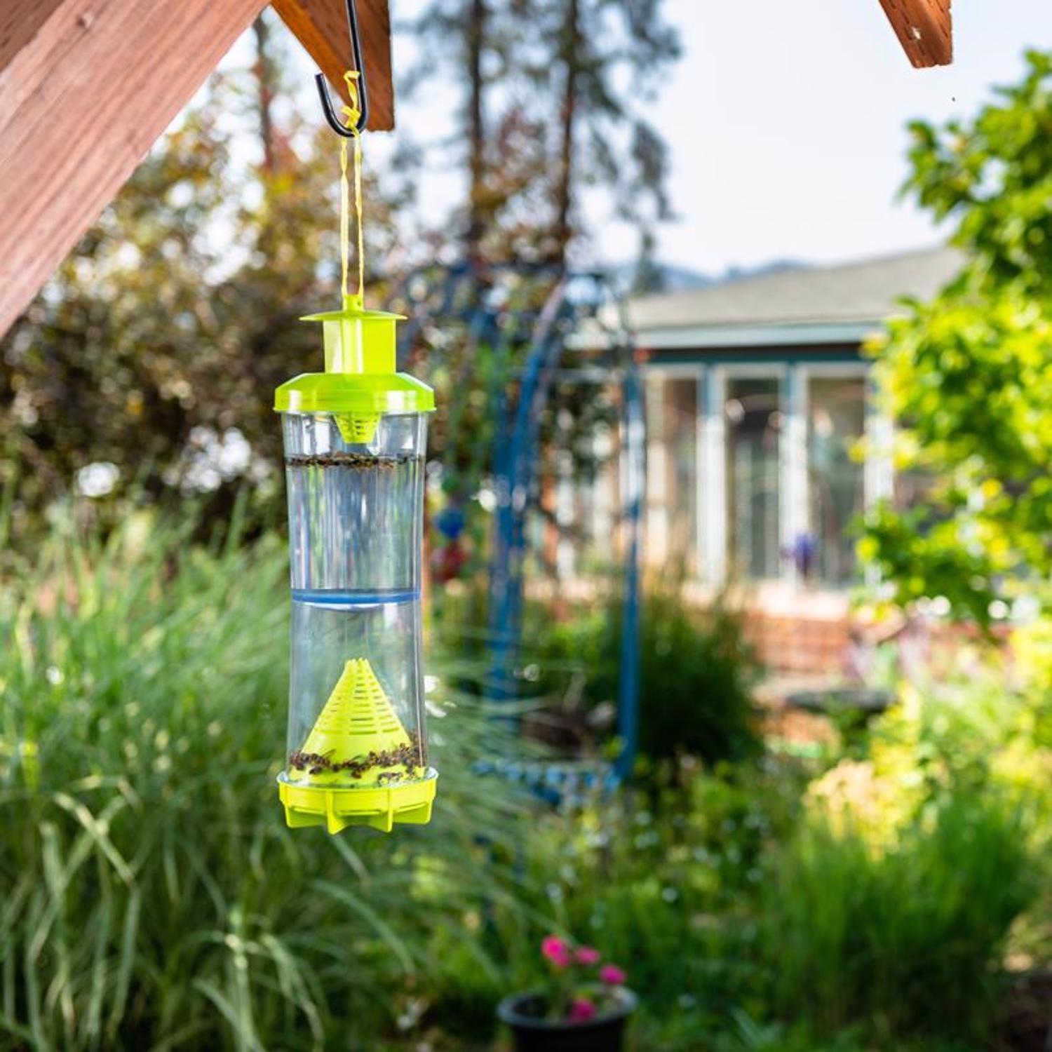 RESCUE Yellowjacket & Wasp Trap 1 pk