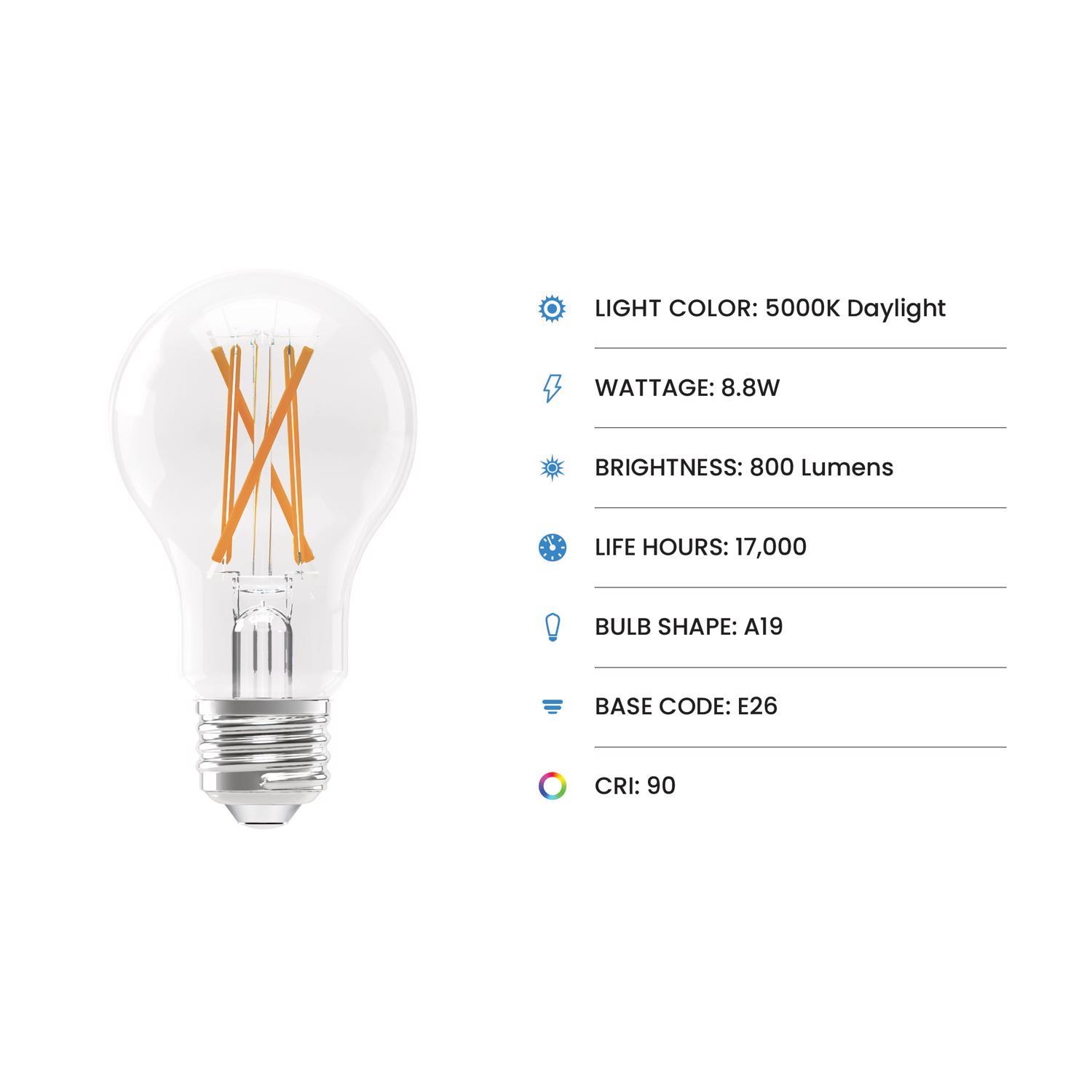 Feit Enhance A19 E26 (Medium) Filament LED Bulb Daylight 60 Watt Equivalence 4 pk