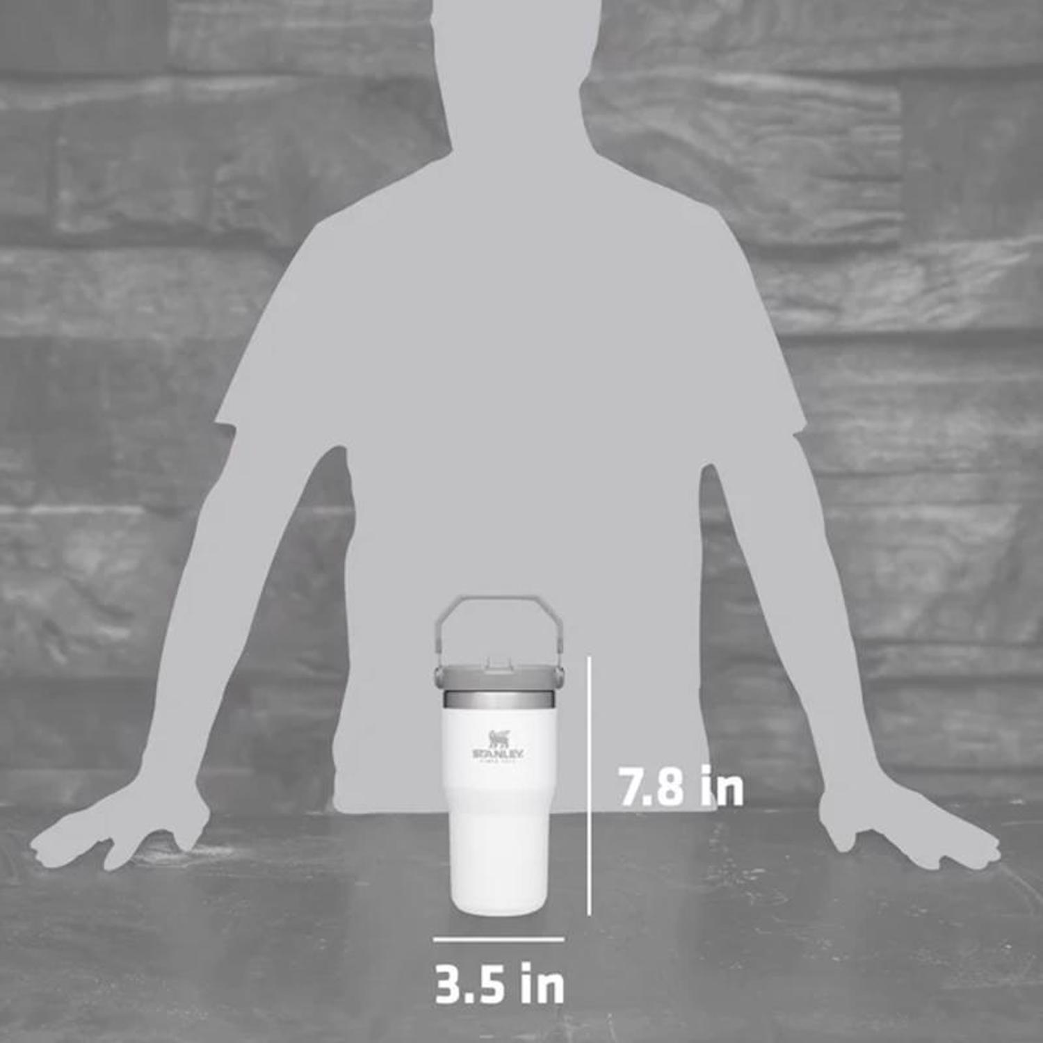 Stanley The IceFlow 20 oz Polar BPA Free Double-wall vacuum insulation Insulated Straw Tumbler