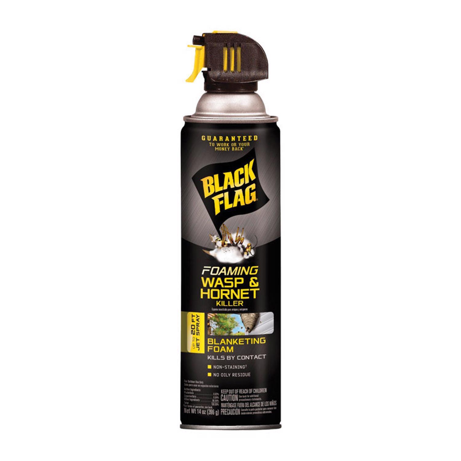 Black Flag Wasp And Hornet Killer Foam 14 Oz