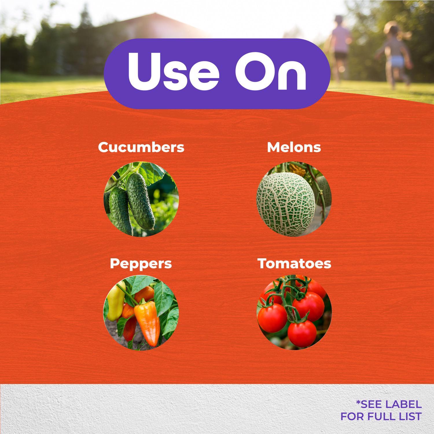 Bonide Rot-Stop Liquid Plant Food 16 oz