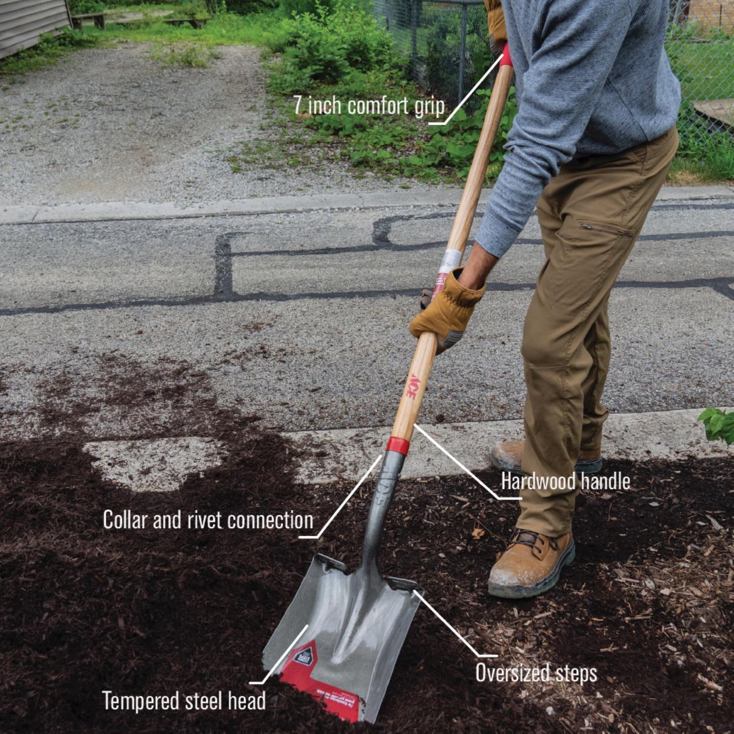 Ace 57.75 in. Steel Square Transfer Shovel Wood Handle