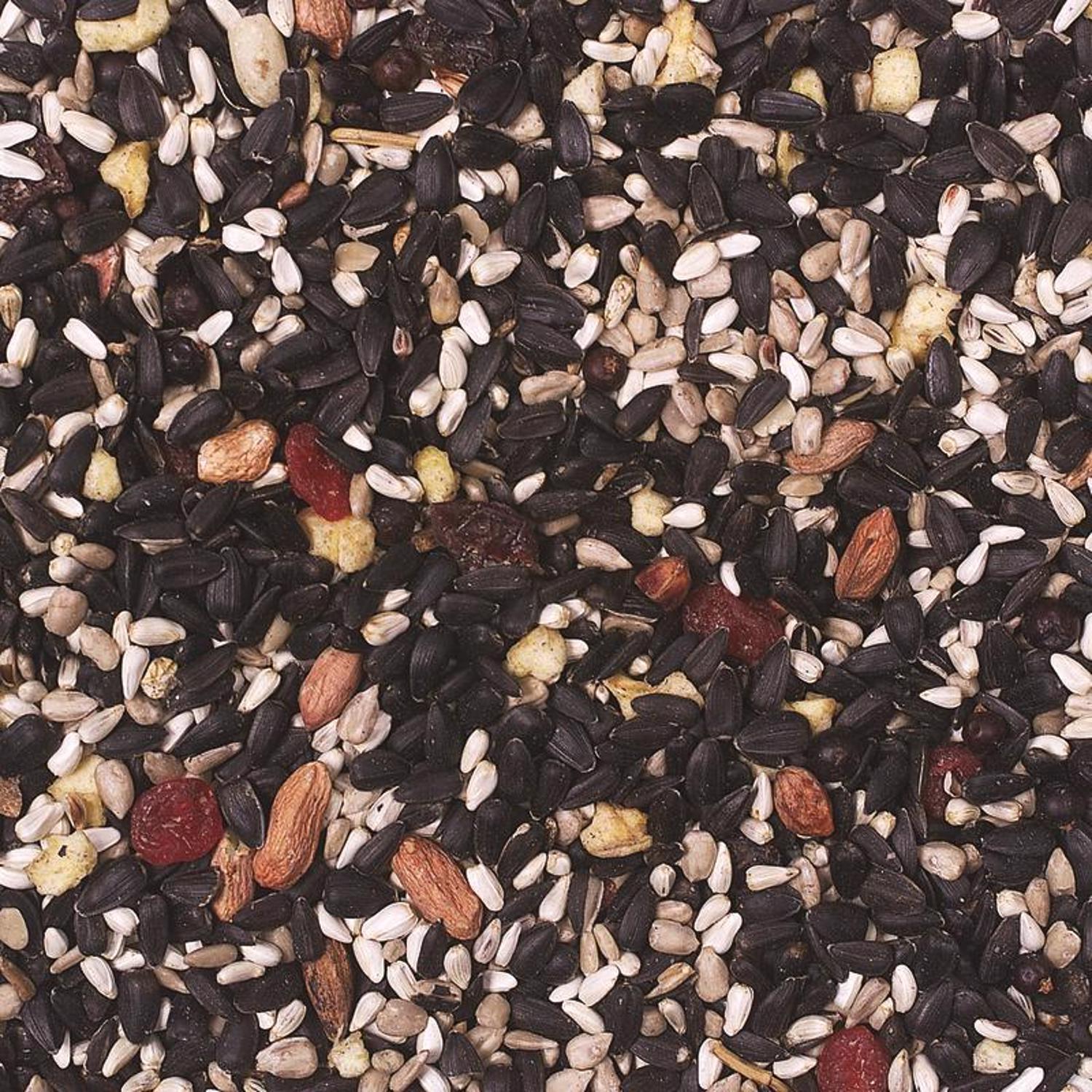 Wild Delight Fruit N Berry Wild Bird Food 20 lb