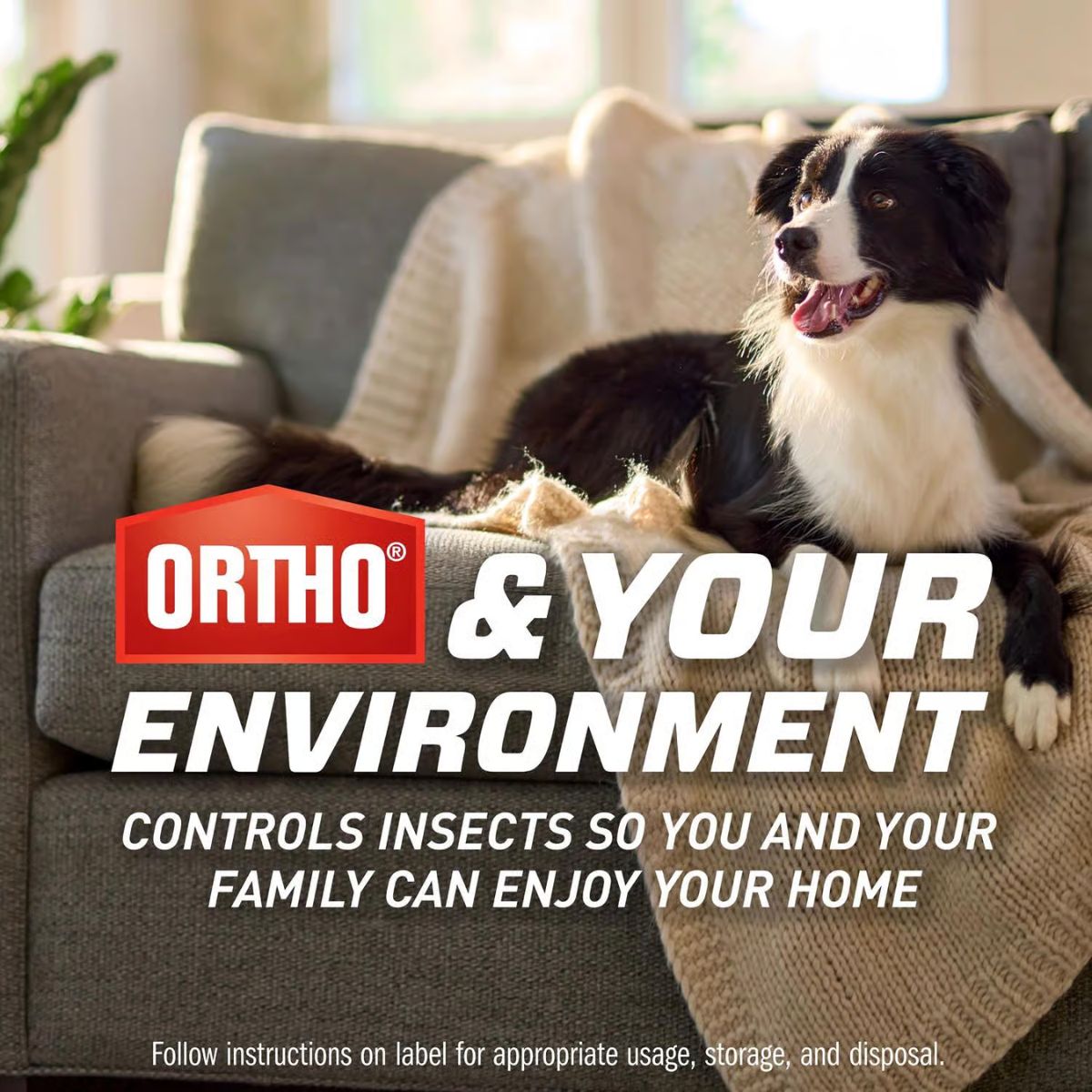 Ortho Flying Insect Trap Refill