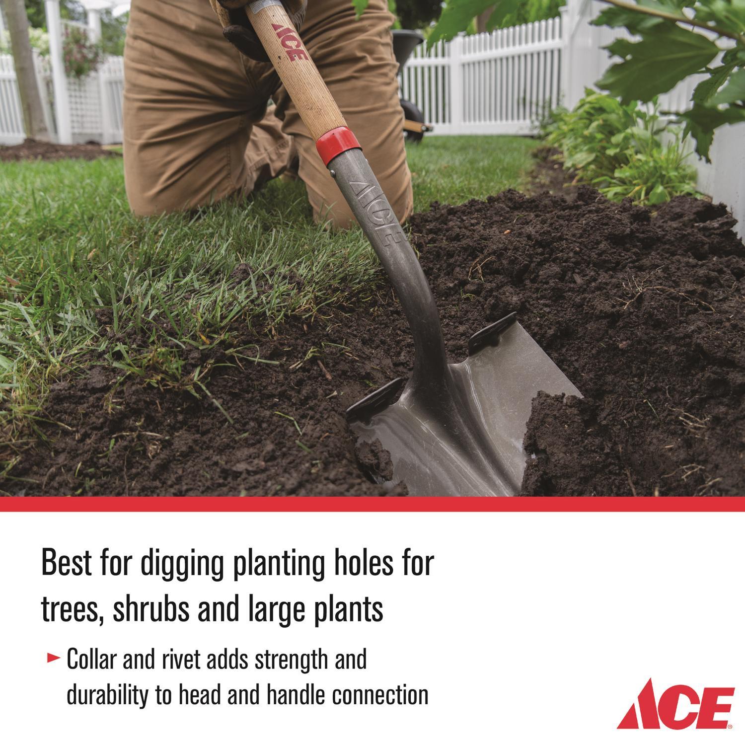 Ace 41.5 in. Steel Round Digging Shovel Wood Handle