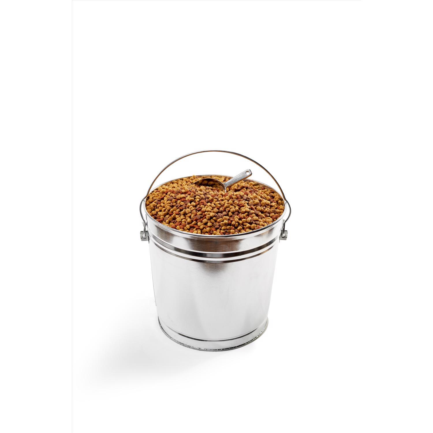 Behrens Gray Locking Lid Metal Pet Food Storage Container For All Pets