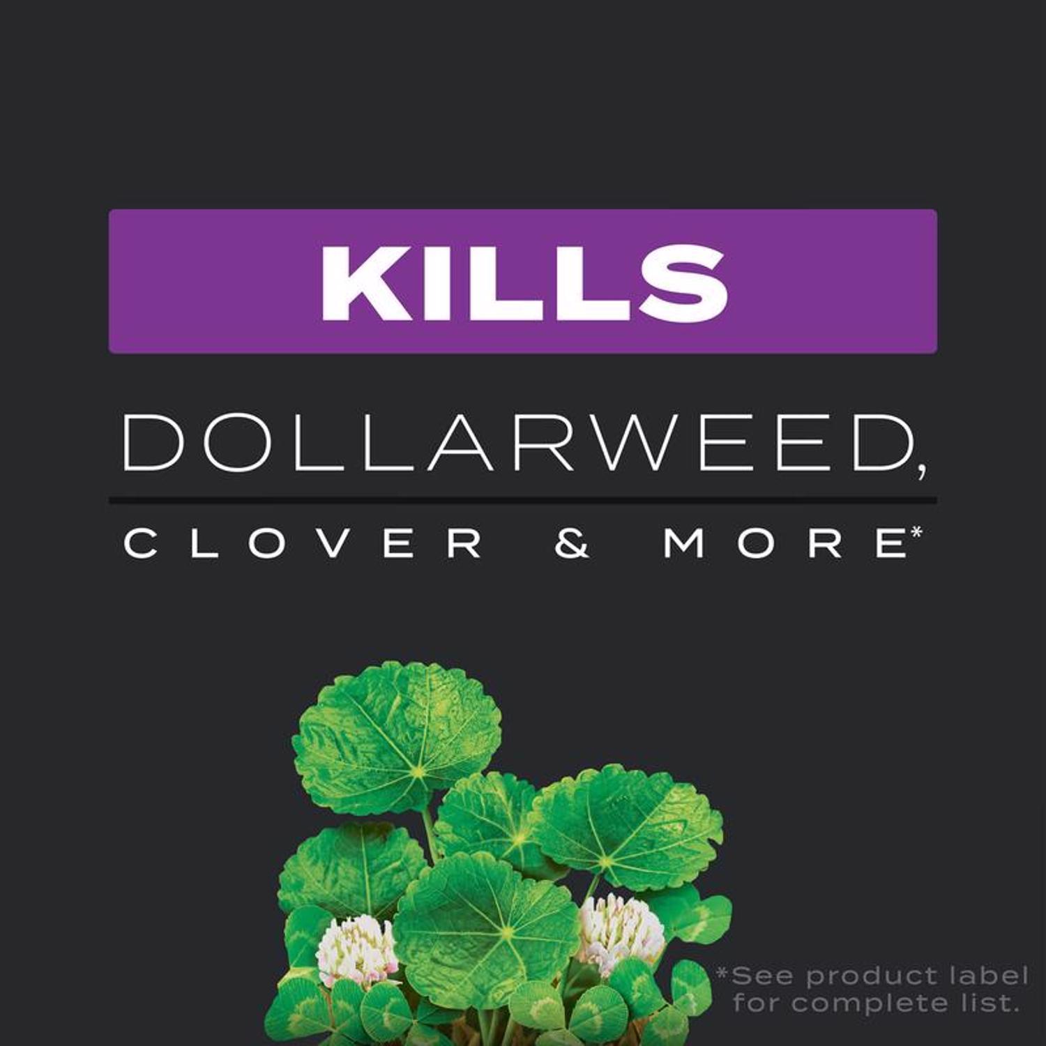 Scotts Turf Builder Southern Weed & Feed Lawn Fertilizer For Multiple Grass Types 4000 sq ft