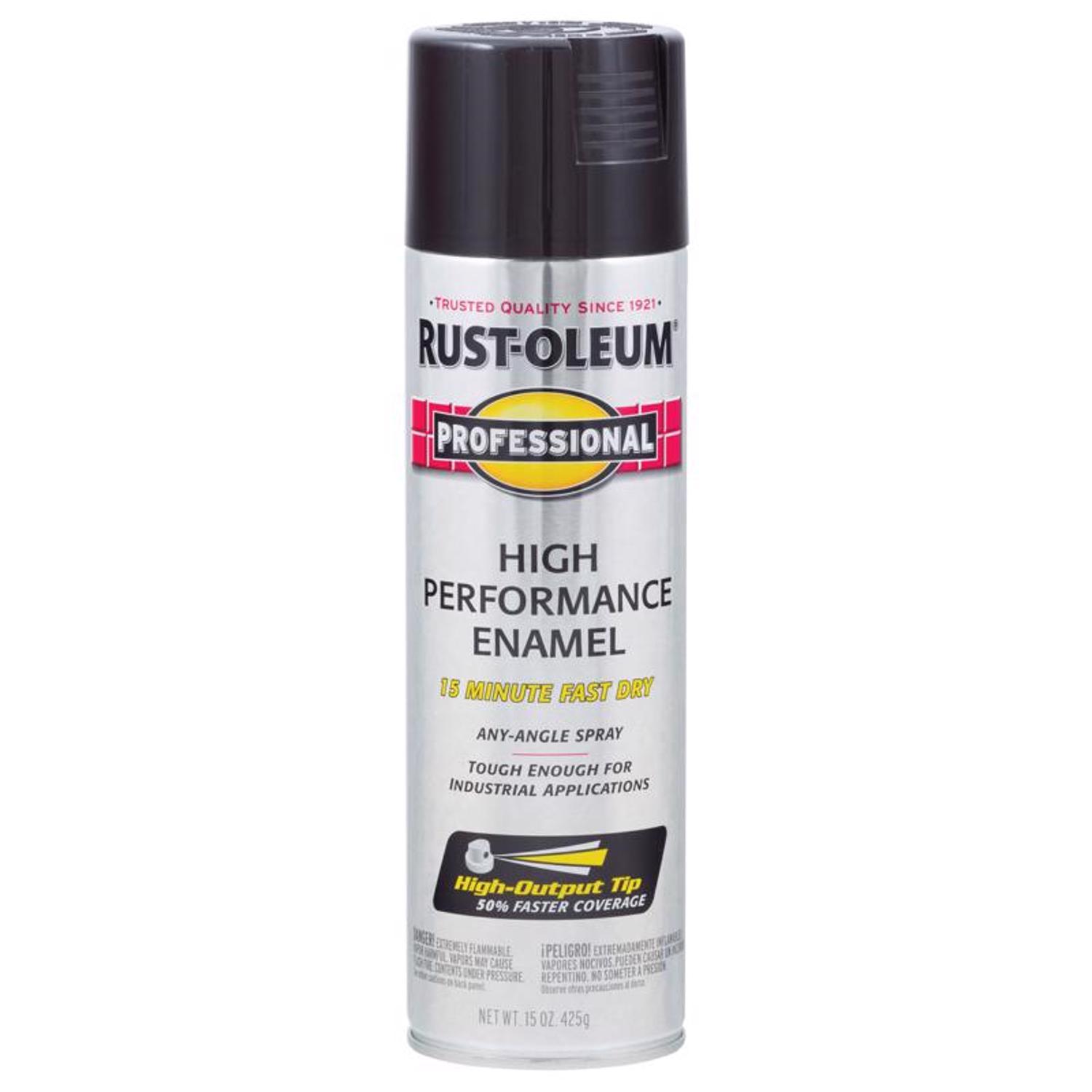 Rust-Oleum Professional Gloss Black Spray Paint 15 oz