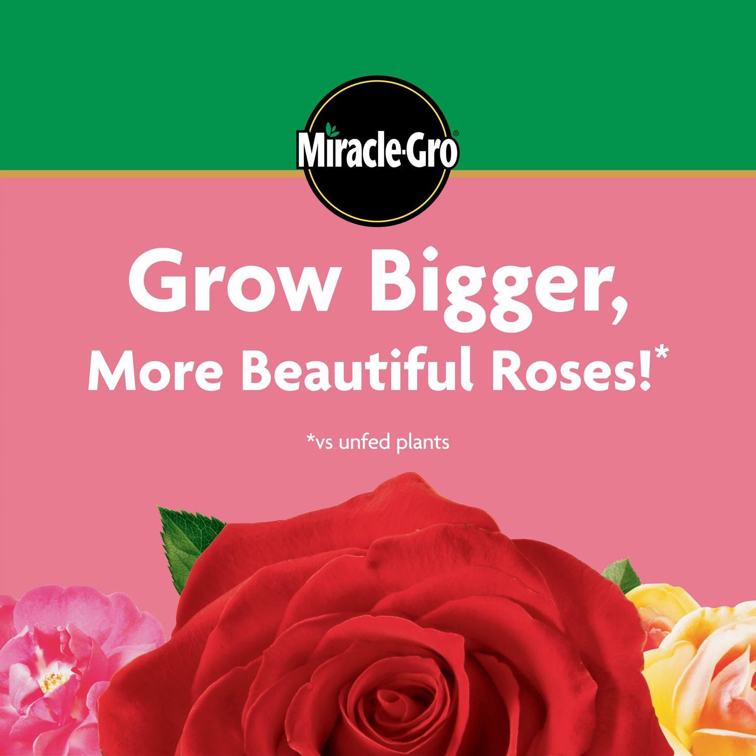 Miracle-Gro Powder Rose Plant Food 1.5 lb