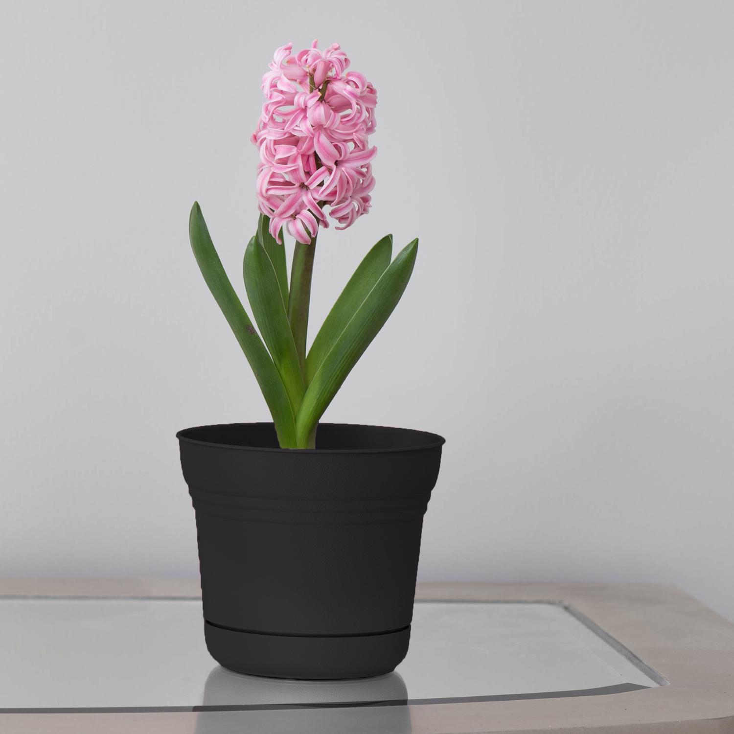 Bloem Saturn 4.5 in. H X 5 in. W Plastic Traditional Planter Black