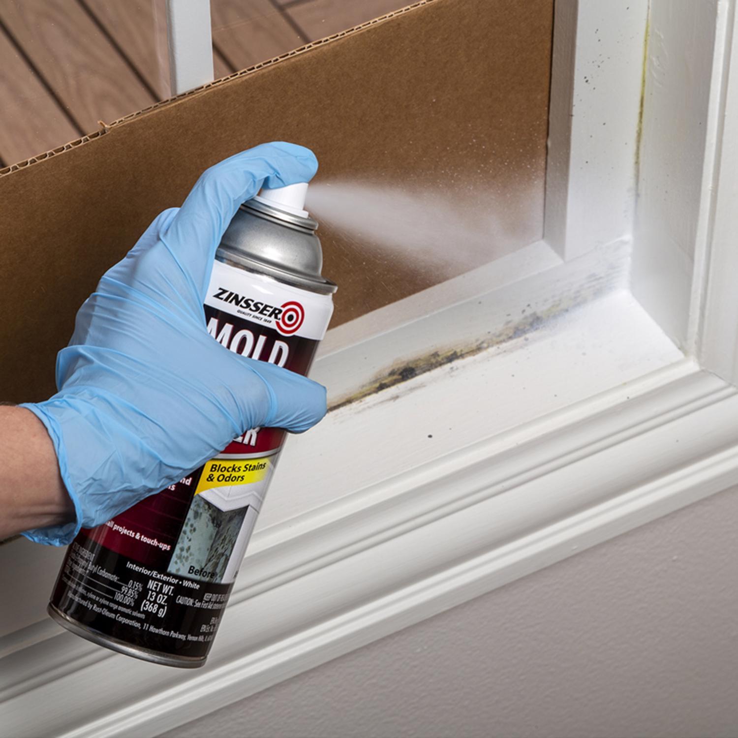 Zinsser Mold Blocking White Water-Based Alkyd Spray Primer 13 oz