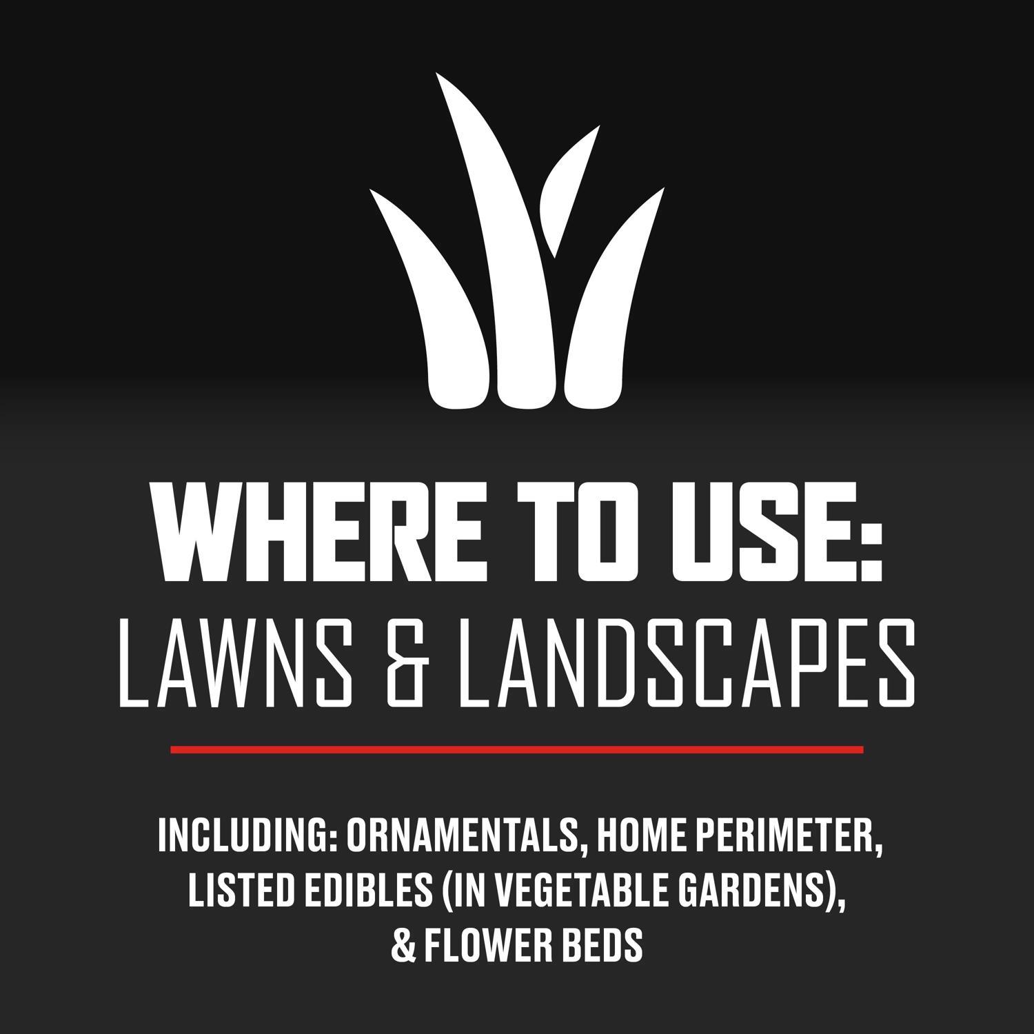 Ortho BugClear Insect Killer Granules 10 lb