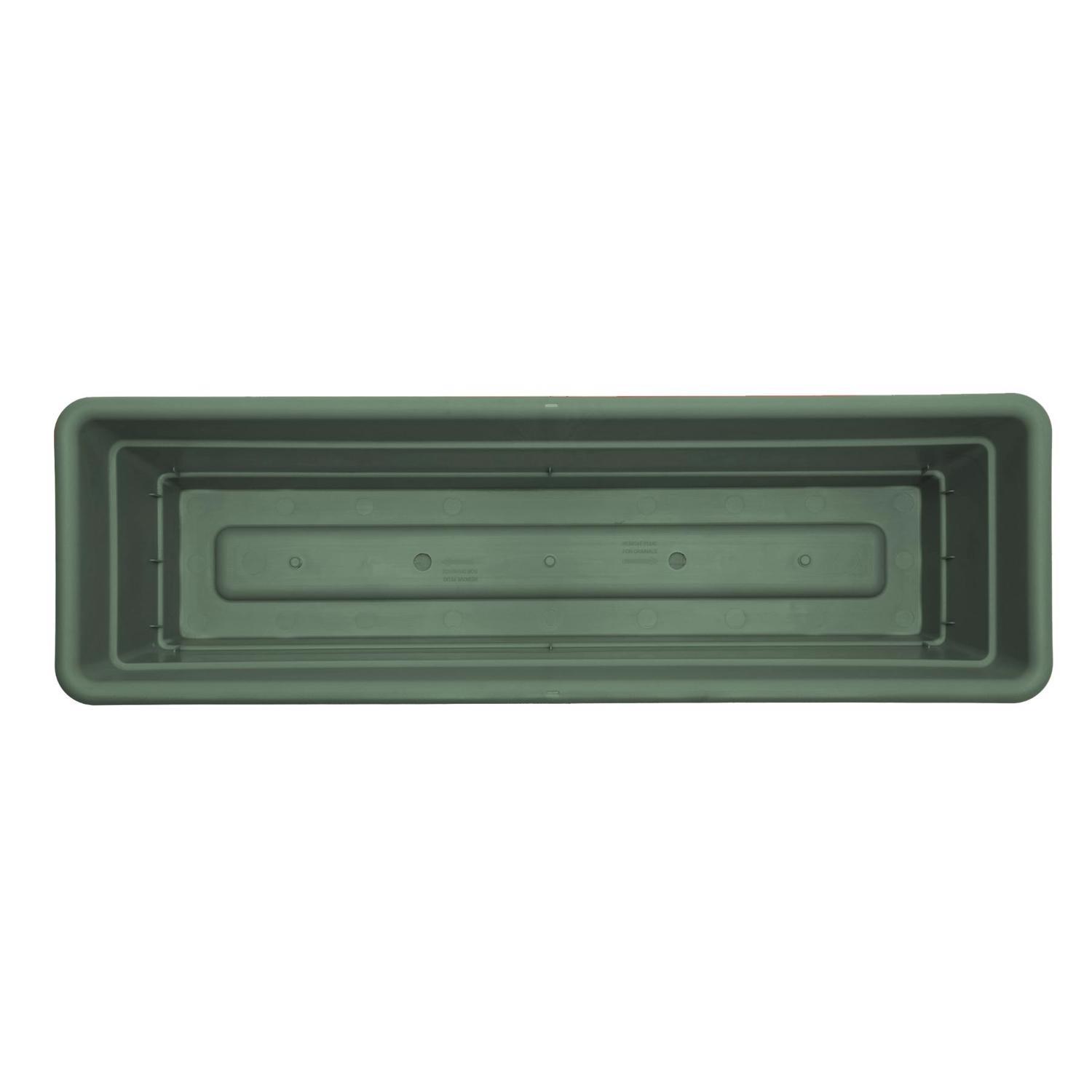 Bloem Dura Cotta 5.75 in. H X 24 in. W X 7.5 in. D Plastic Window Box Basil