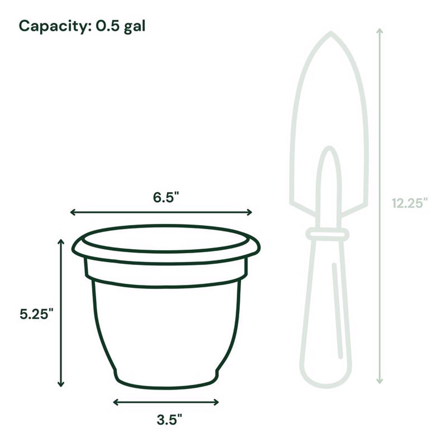 Bloem Ariana 5.25 in. H X 6.5 in. W X 6 in. D Polyresin Traditional Planter Charcoal