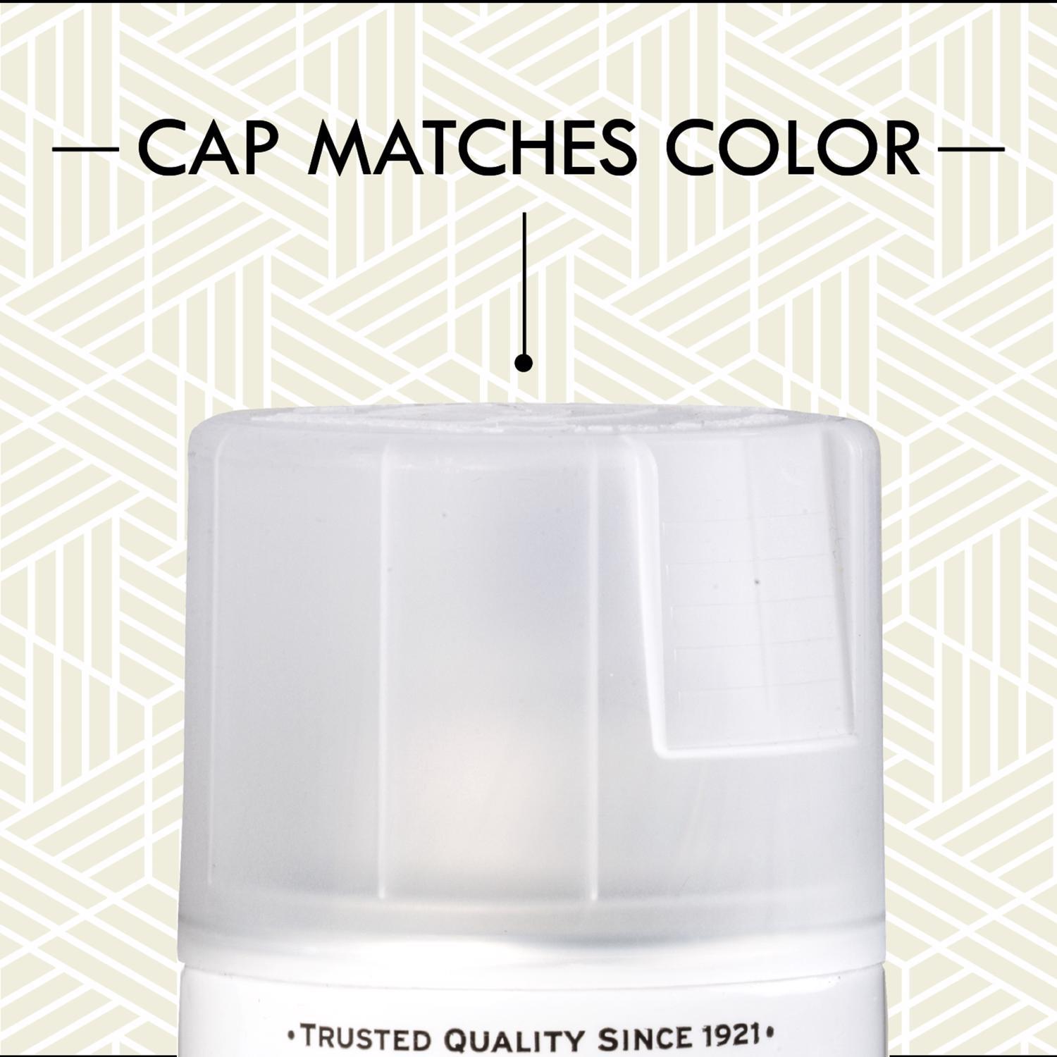 Rust-Oleum Specialty Gloss Frosted Glass Spray Paint 11 oz