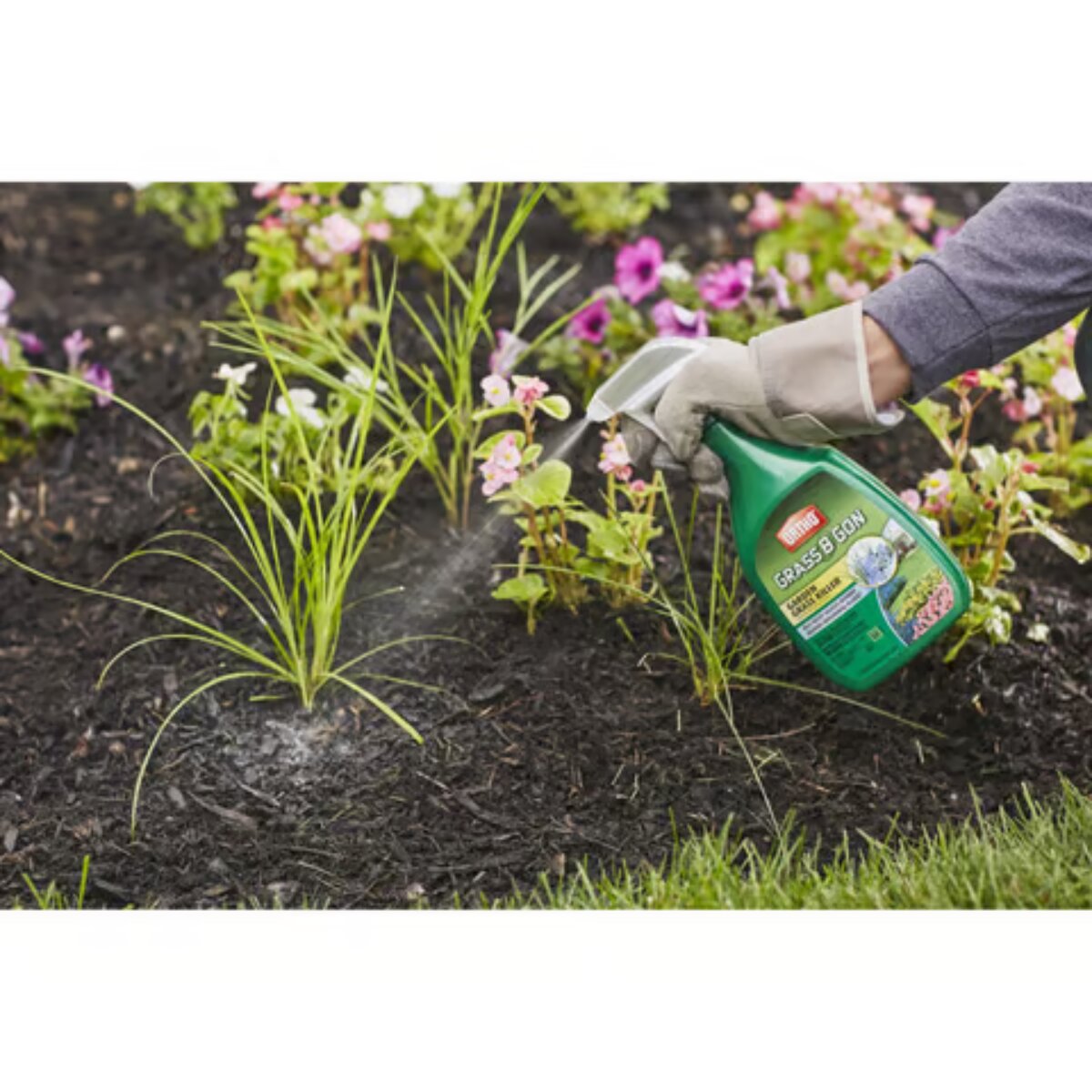 Ortho Grass B Gon Weed and Grass Killer RTU Liquid 24 oz.