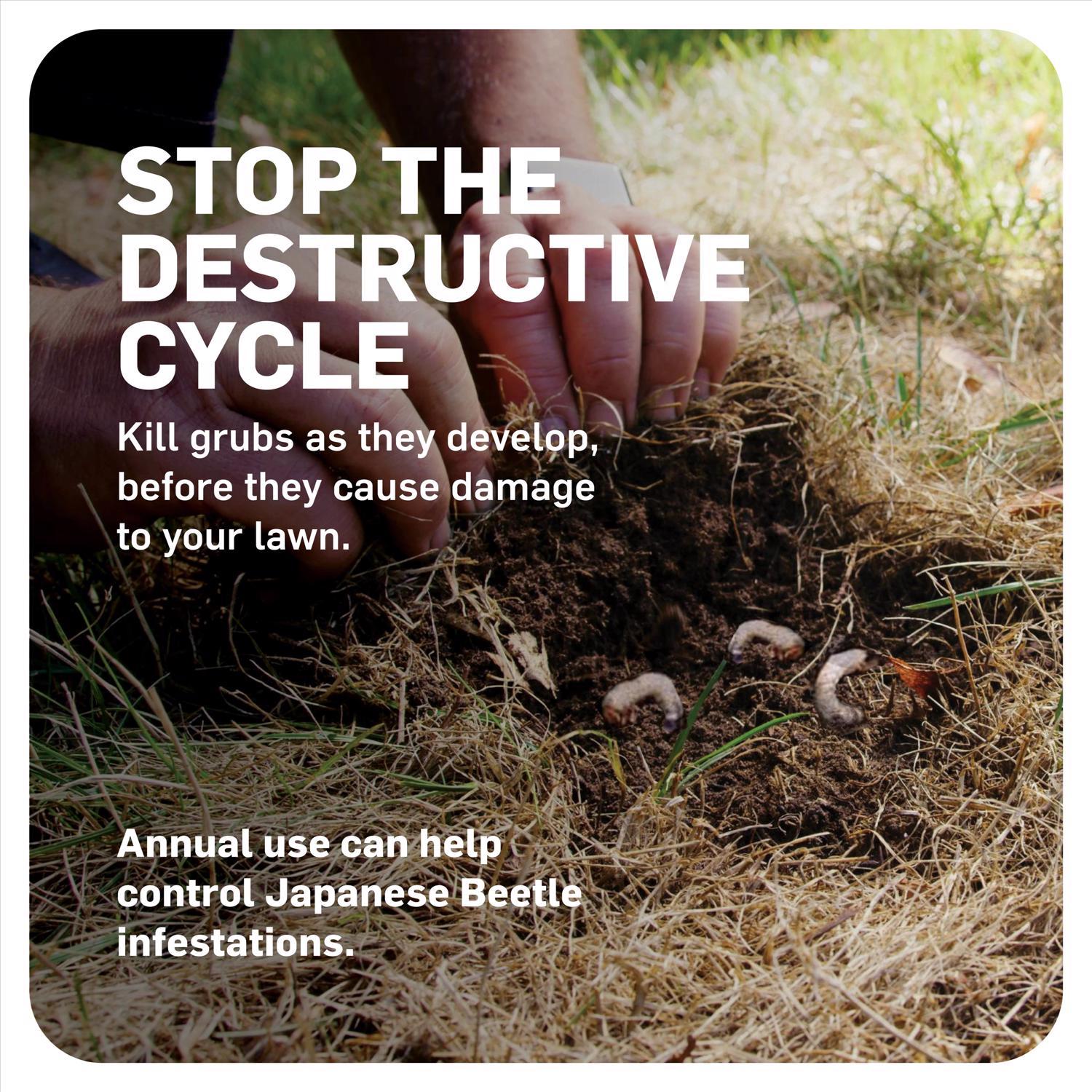 Scotts GrubEx Grub and Insect Control Granules 14.35 lb