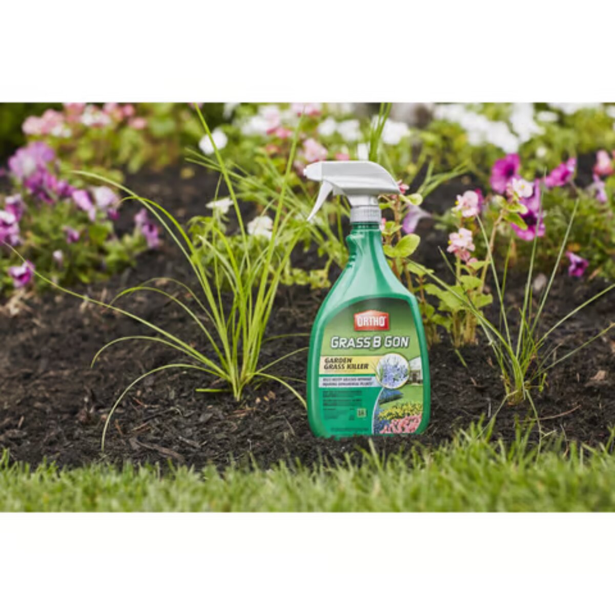 Ortho Grass B Gon Weed and Grass Killer RTU Liquid 24 oz.