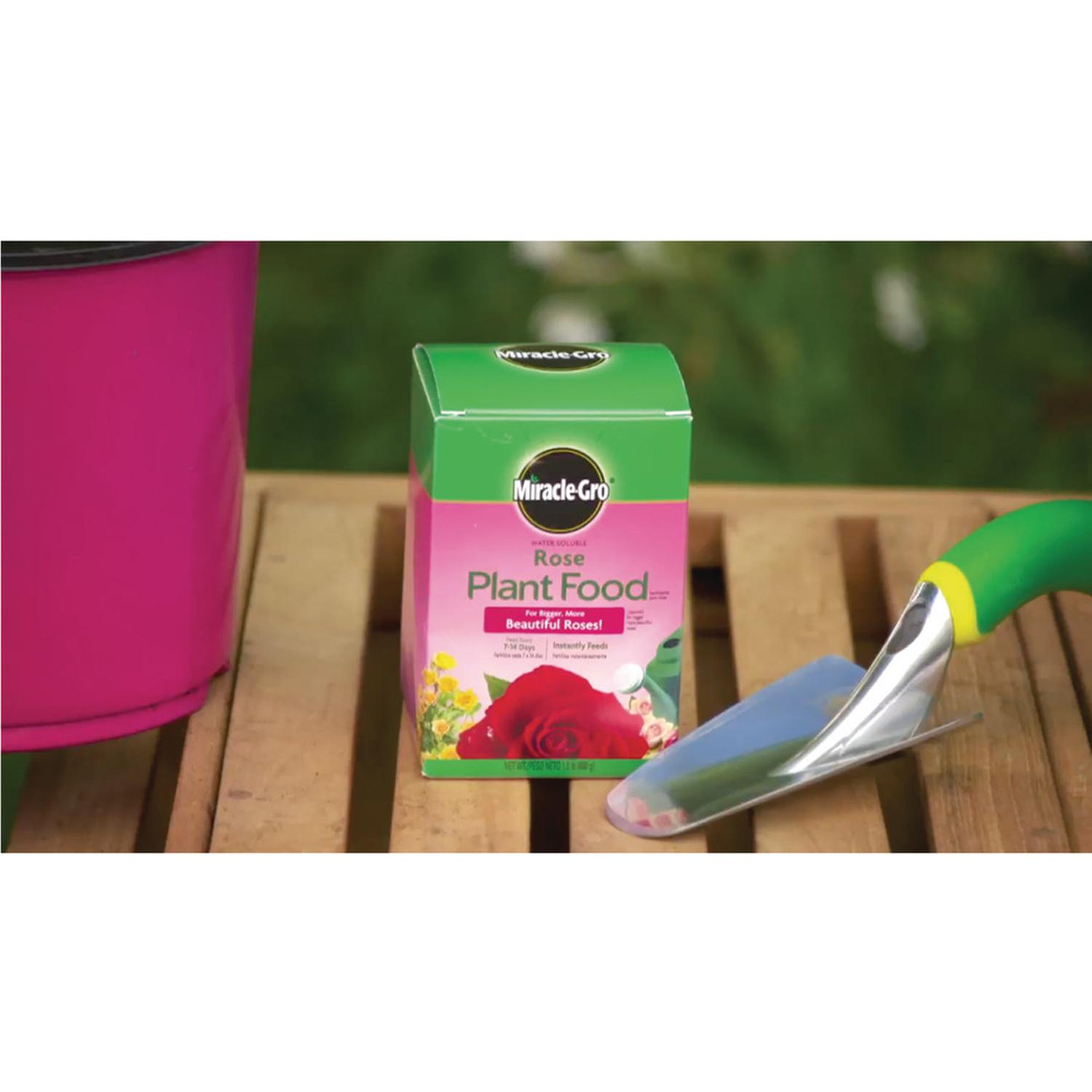 Miracle-Gro Powder Rose Plant Food 1.5 lb
