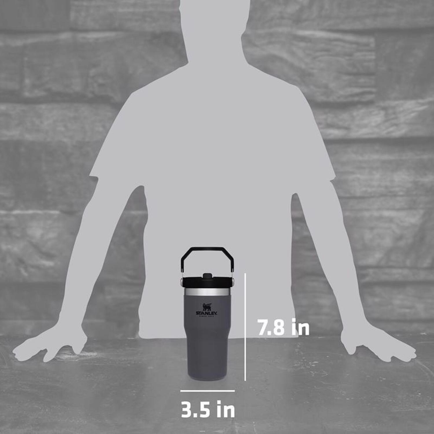 Stanley The IceFlow 20 oz Charcoal BPA Free Double-wall vacuum insulation Insulated Straw Tumbler