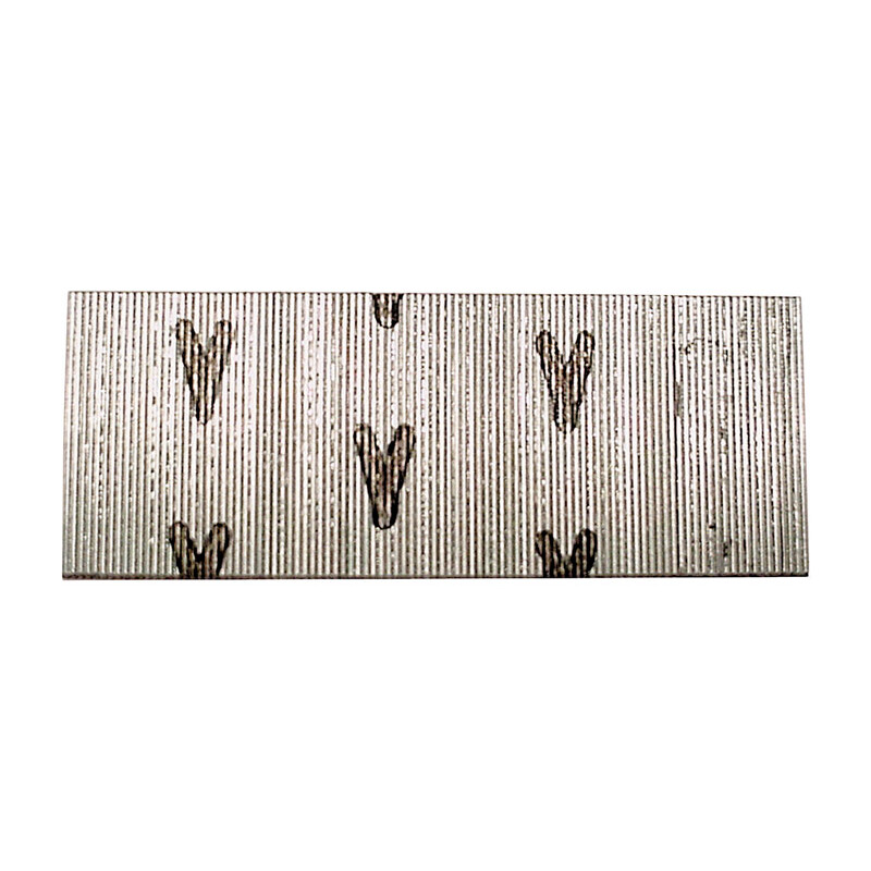 Senco 1 in. L 23 Ga. Galvanized Straight Strip Pins 2 600 pk