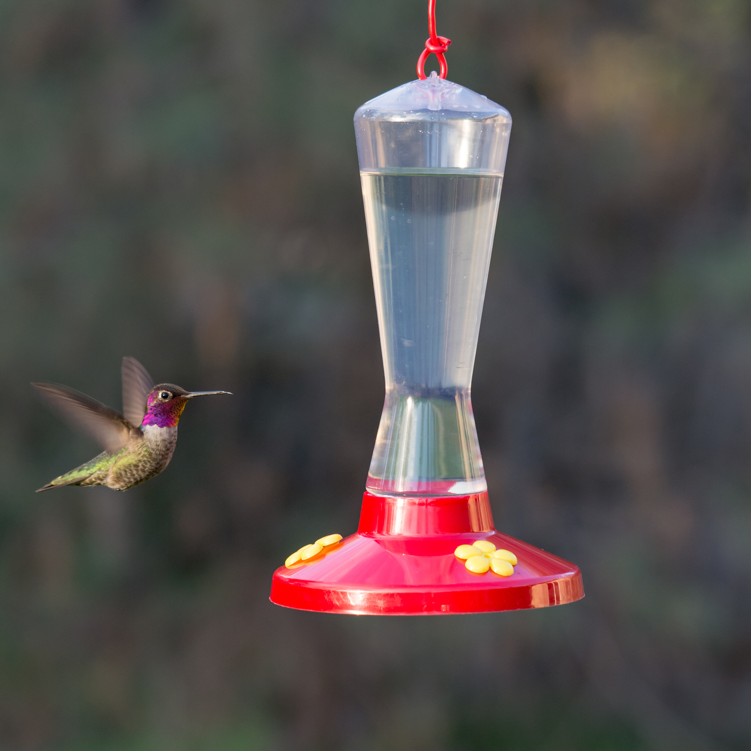 Perky-Pet Hummingbird 8 oz Plastic Nectar Feeder 3 ports