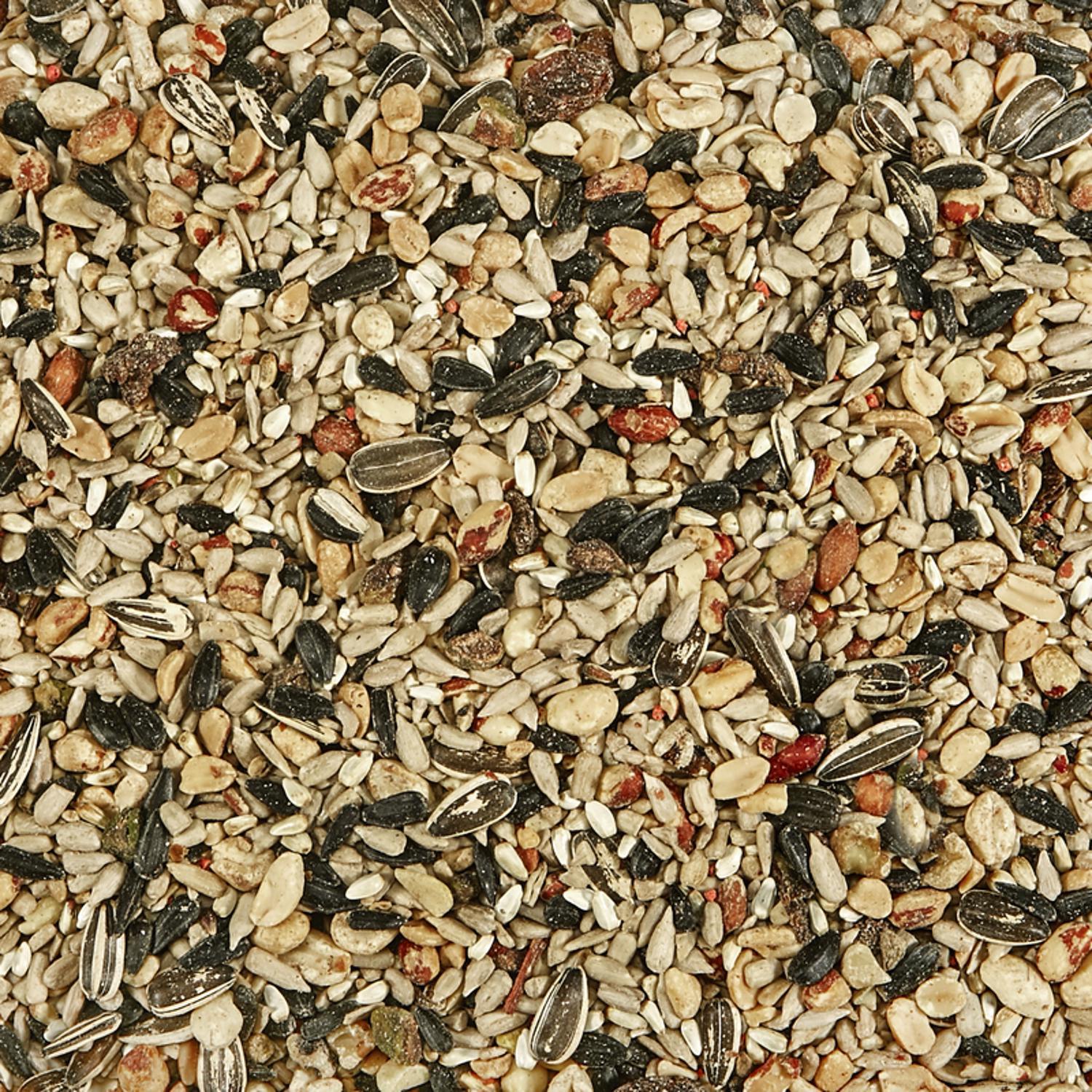 Kaytee Nut & Fruit Wild Bird Food 20 lb