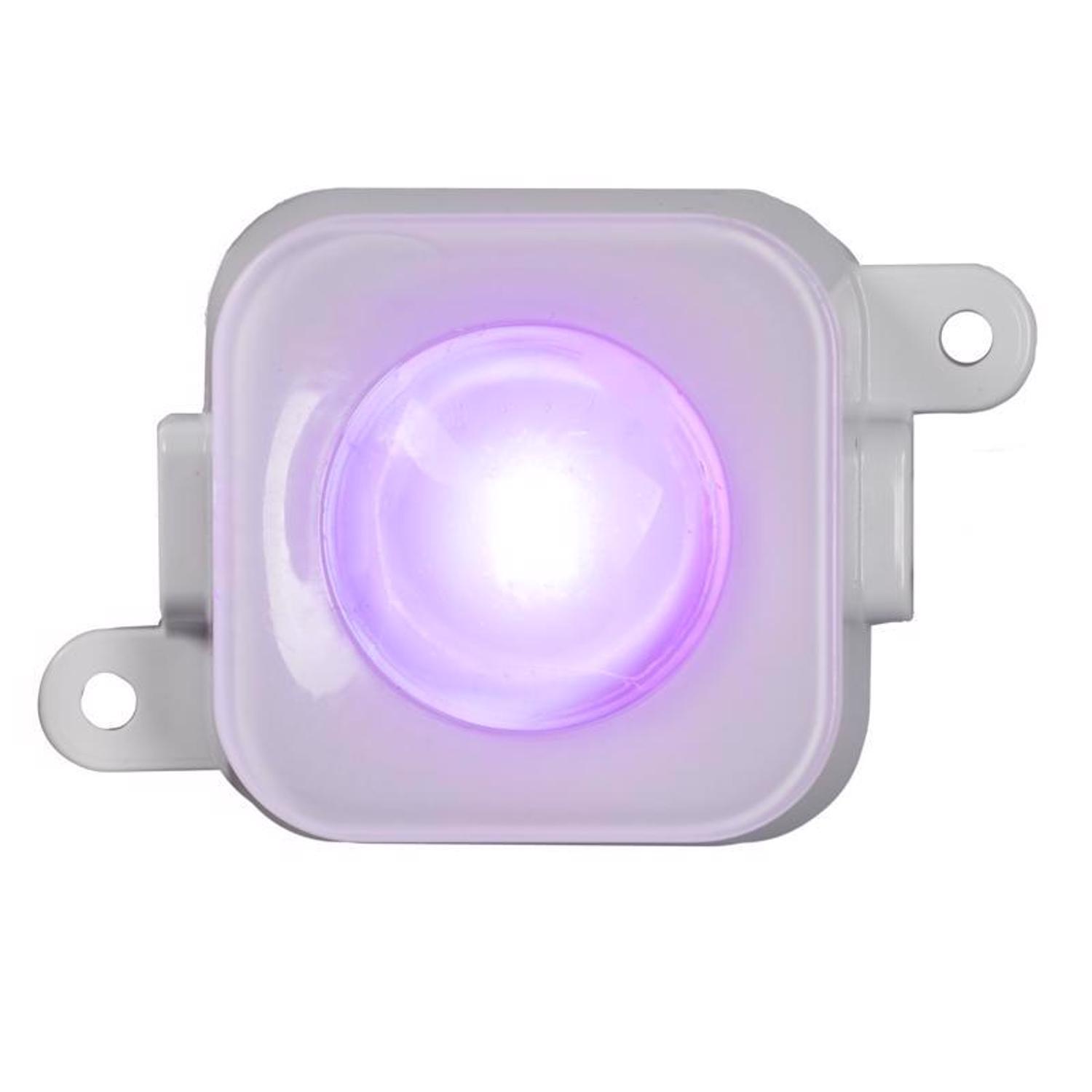 Celebrations Platinum LED RGBW 65 ct Smart-Enabled Christmas Lights Add On