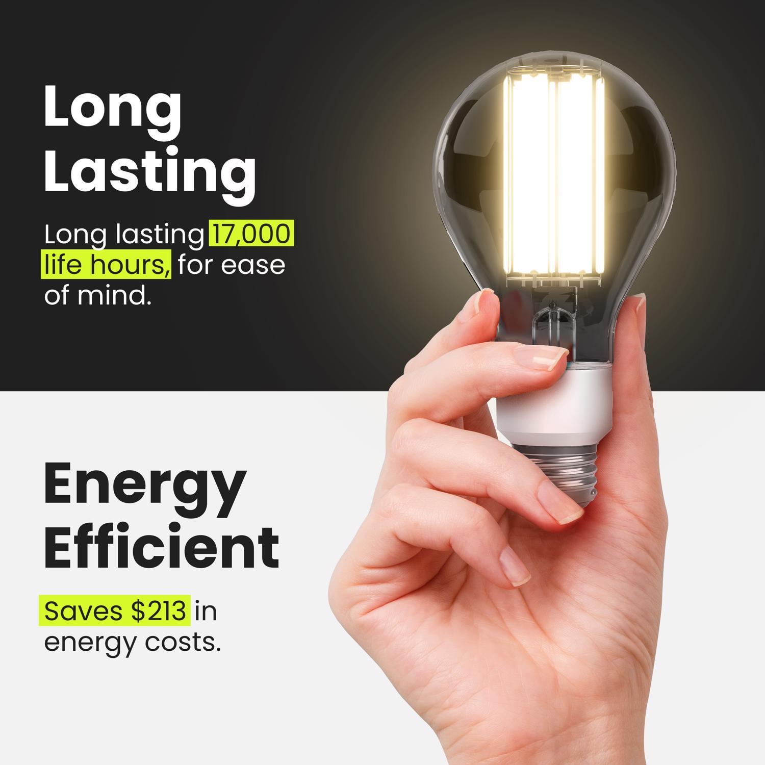 Feit A23 E26 (Medium) Filament LED Bulb Daylight 300 Watt Equivalence 1 pk
