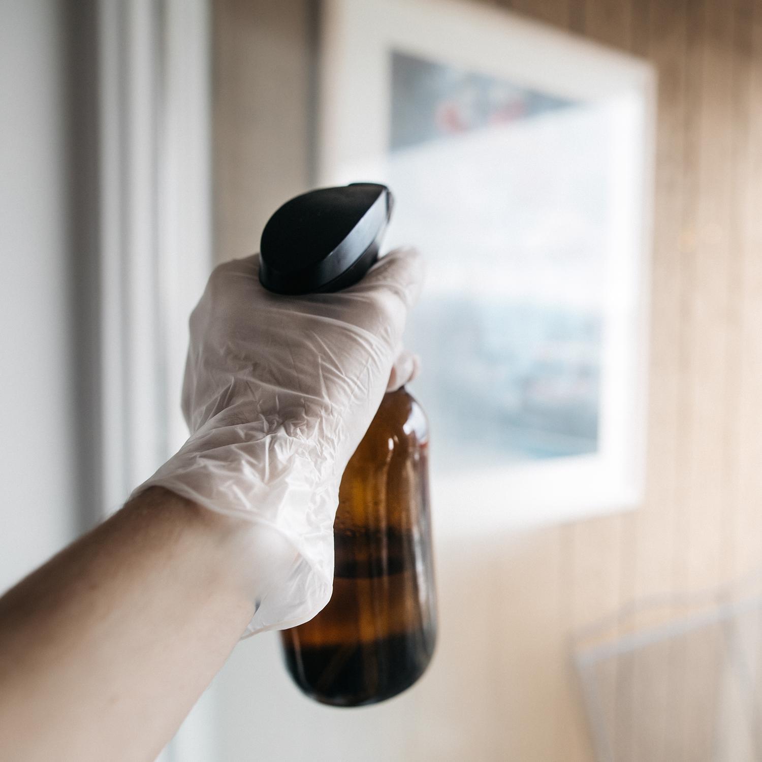 AMMEX Gloveworks Vinyl Disposable Gloves Large Clear Powder Free 100 pk