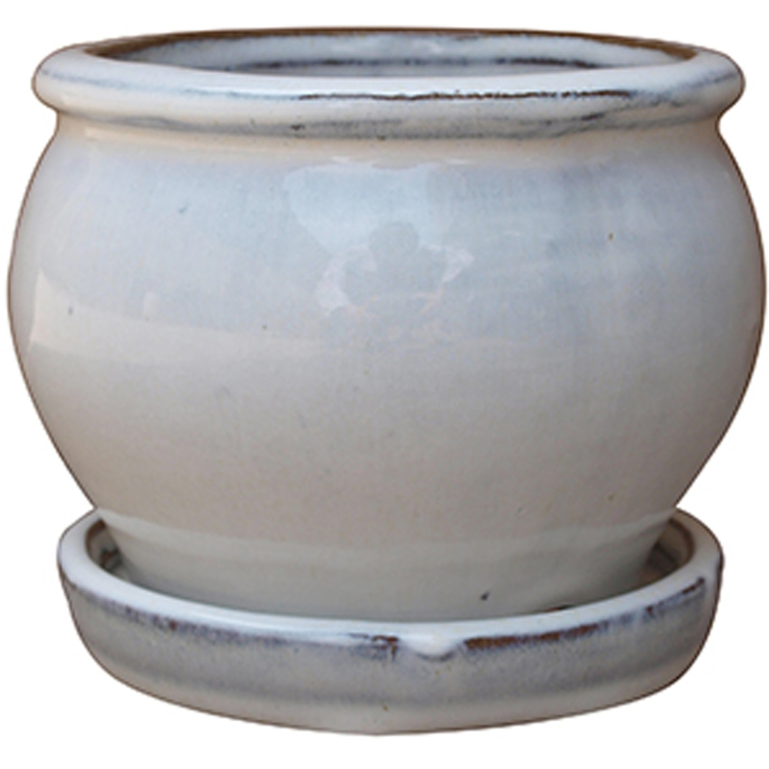 Trendspot 4 in. D Ceramic Planter Assorted