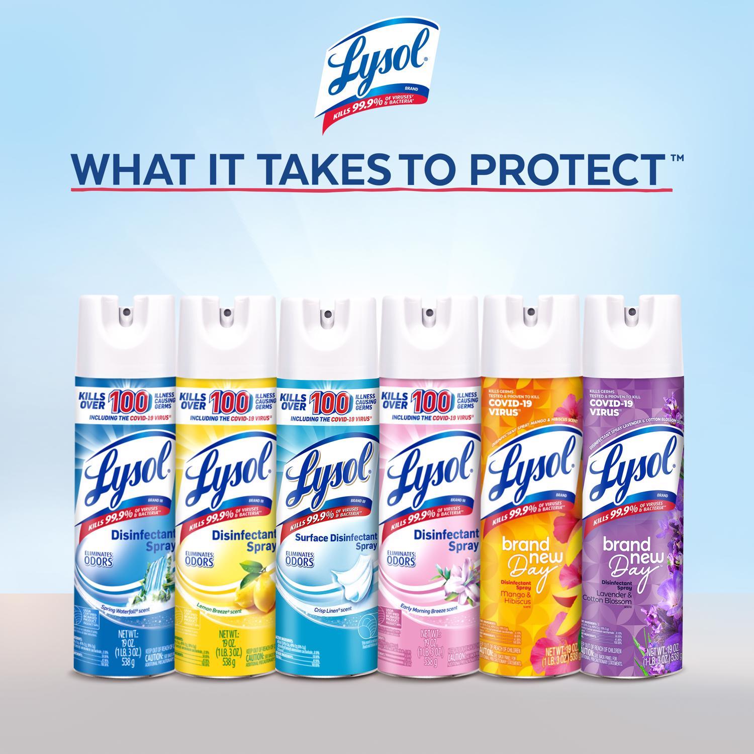Lysol Early Morning Breeze Scent Disinfectant Spray 12.5 oz 1 pk