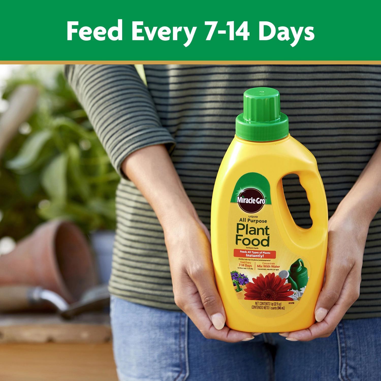 Miracle-Gro Liquid Plant Food 1 qt