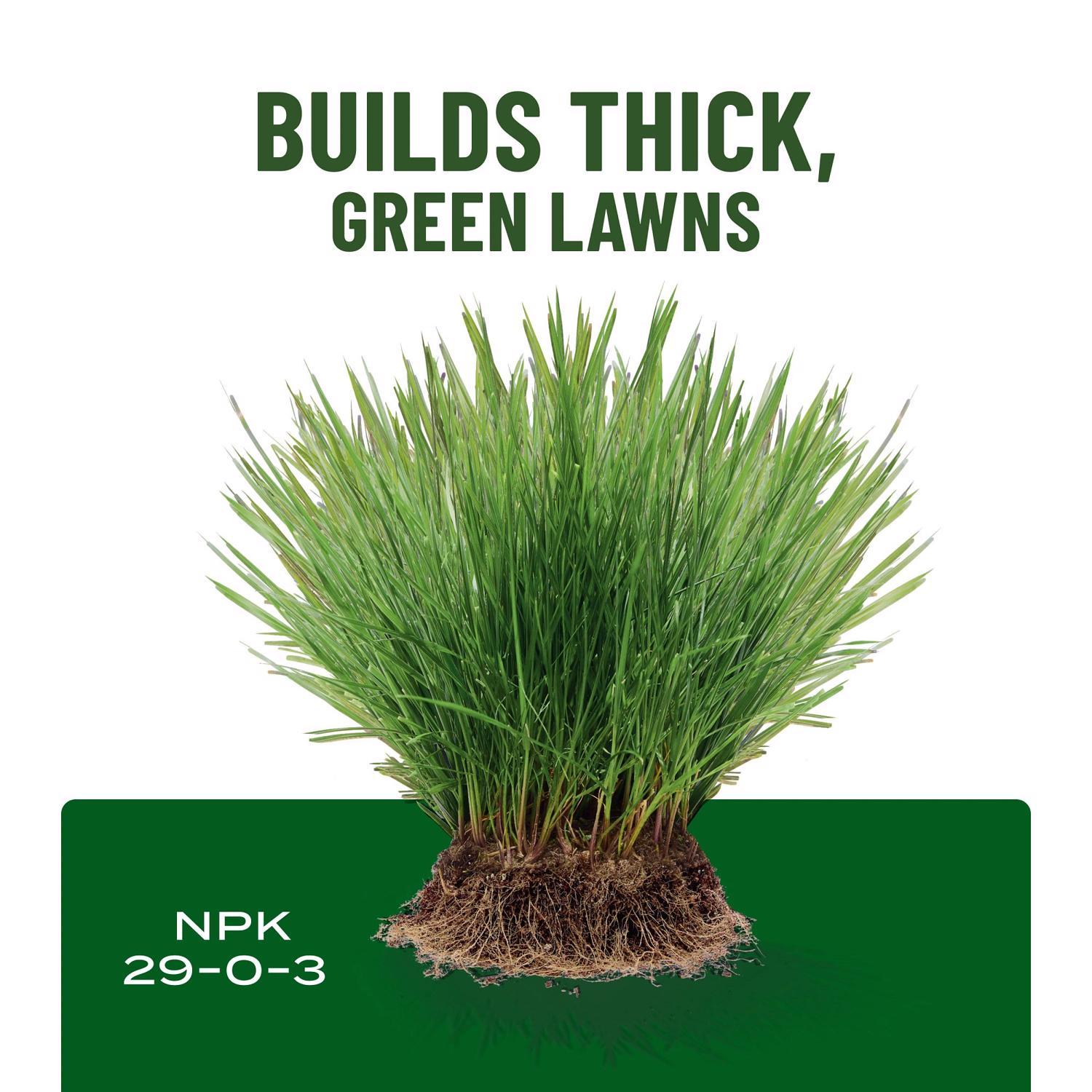 Scotts Turf Builder All-Purpose Lawn Food For All Grasses 2000 sq ft