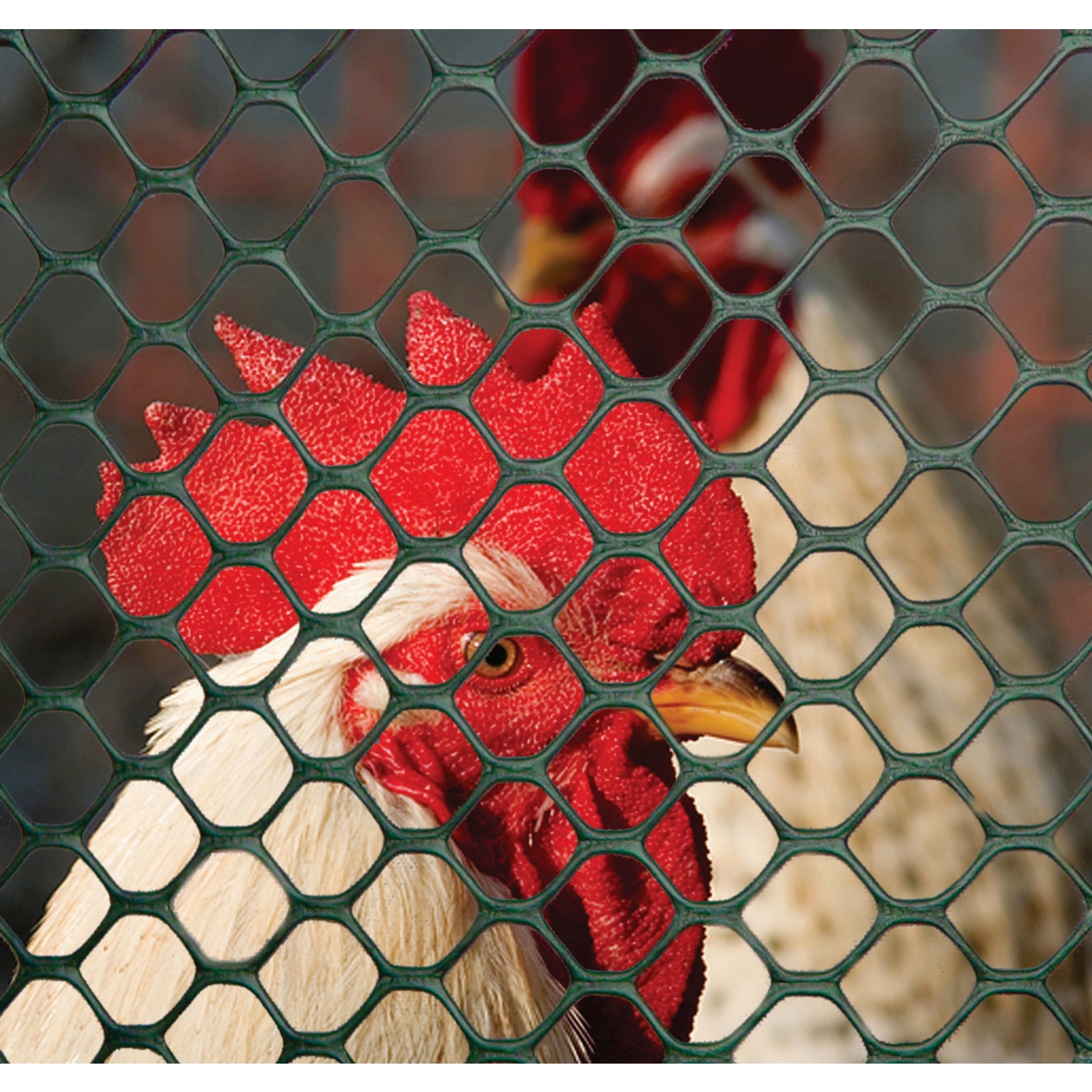 Tenax 3 ft. H X 25 ft. L Polyethylene Poultry Fence .65 in.