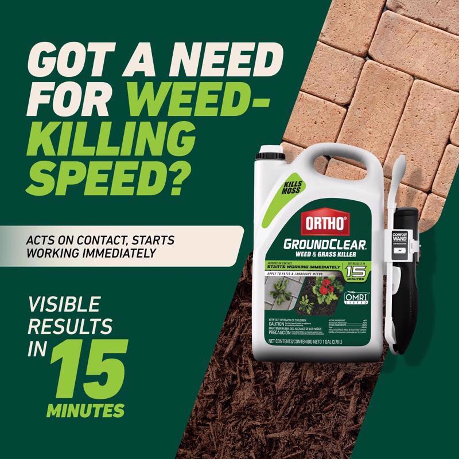 Ortho GroundClear Weed and Grass Killer RTU Liquid 1 gal