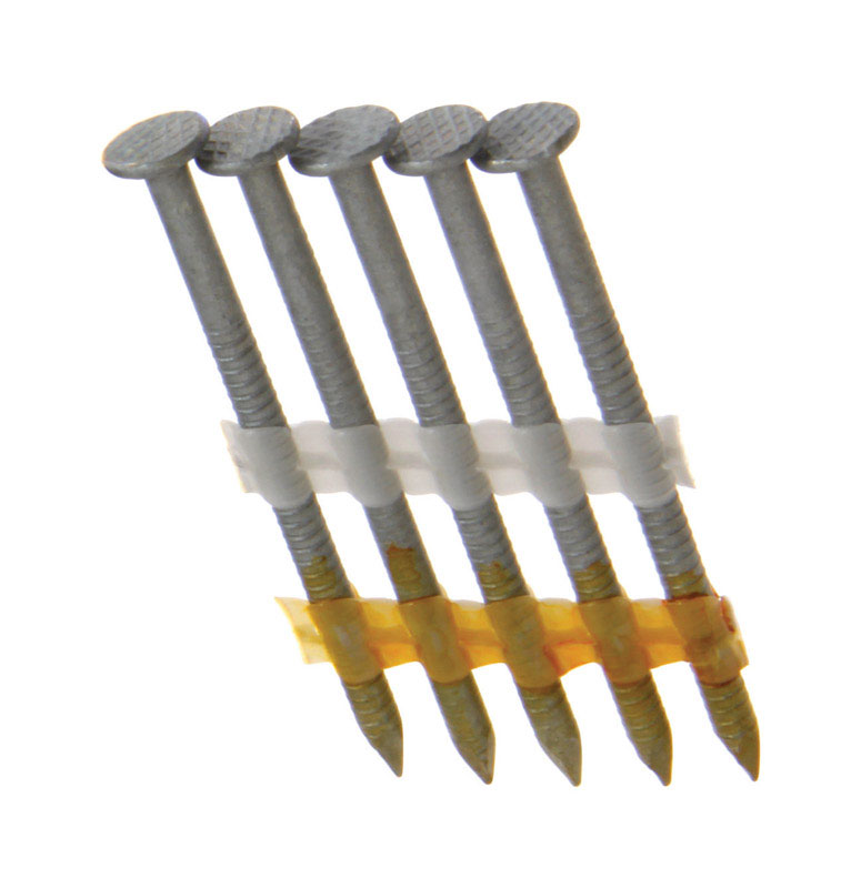 Grip-Rite 2-3/8 in. x .113 in. L Hot Dipped Galvanized Framing Framing Nails 2 500 pc.