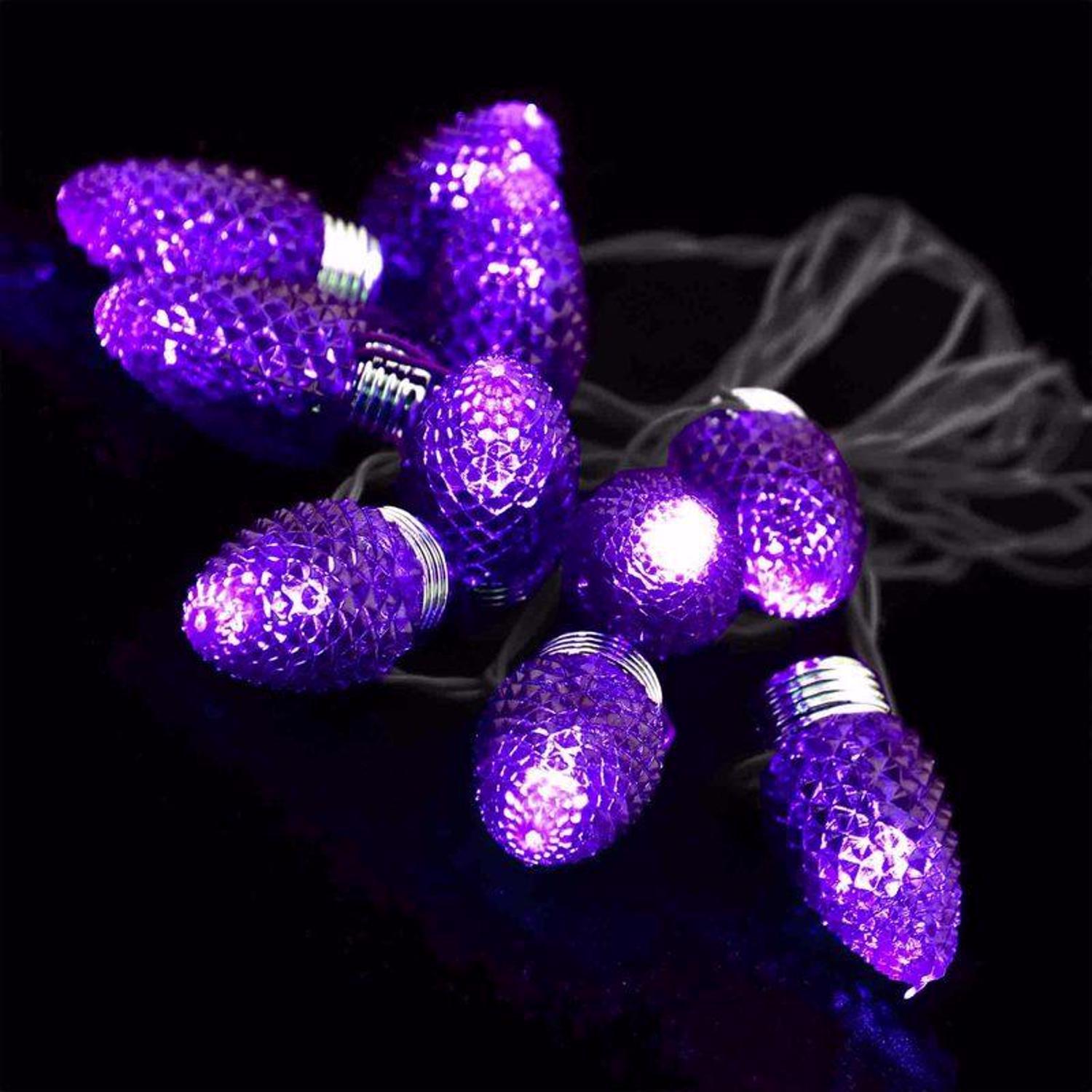 Magic Seasons Orange/Purple 9 in. Prelit String Lights