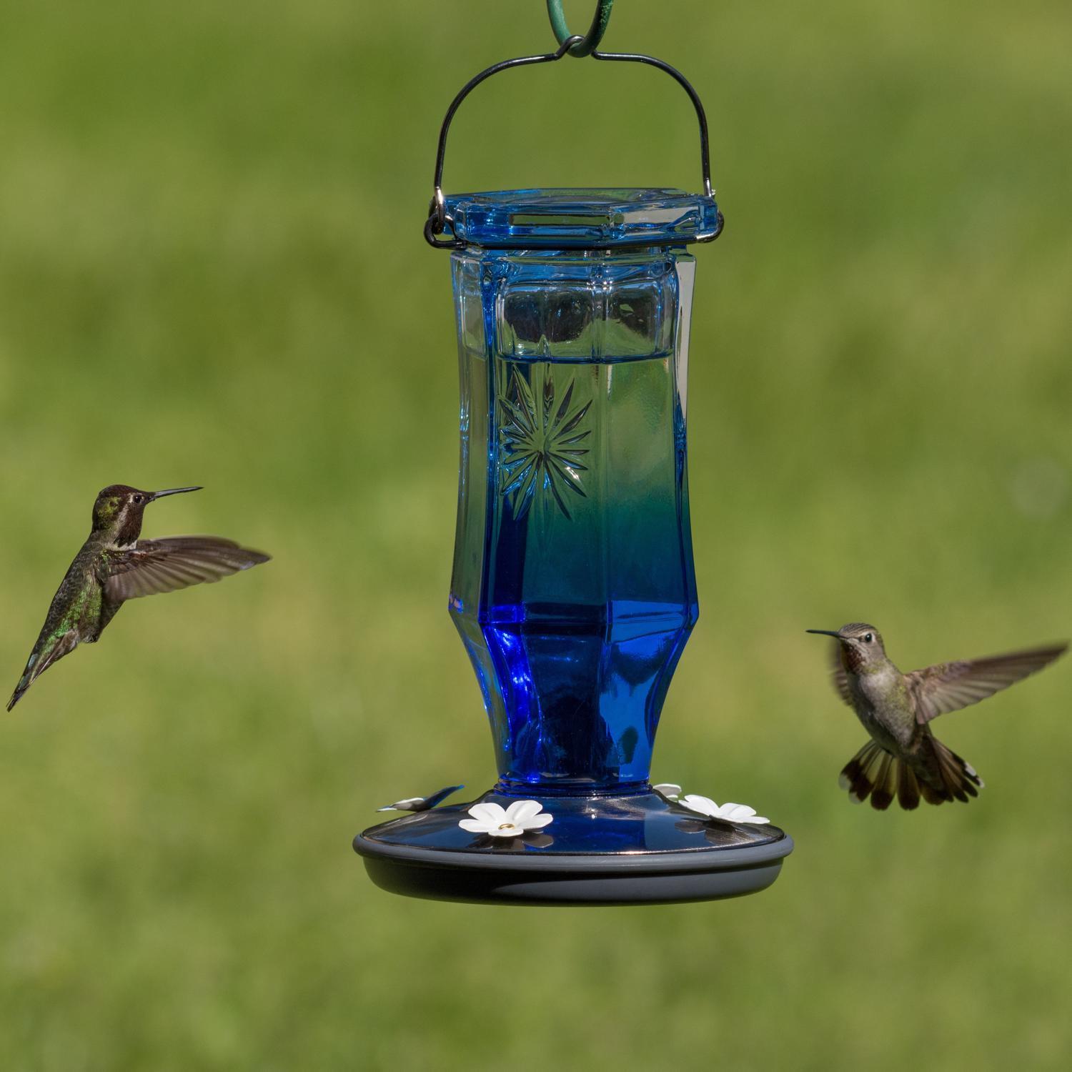 Perky-Pet Hummingbird 16 oz Glass/Metal Sapphire Starburst Vintage Nectar Bird Feeder 4 ports