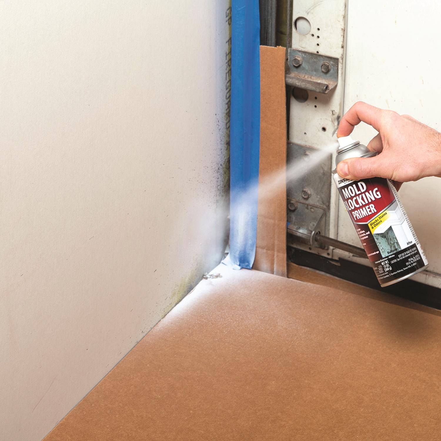 Zinsser Mold Blocking White Water-Based Alkyd Spray Primer 13 oz