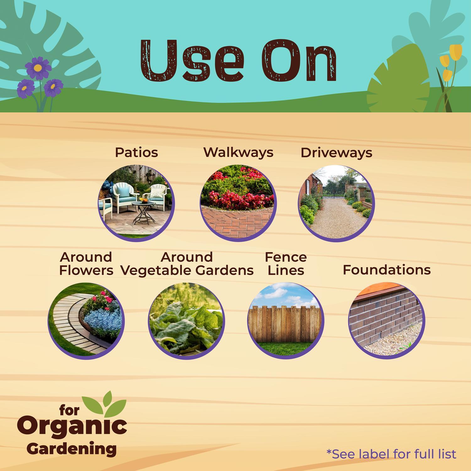 Bonide Captain Jack's Broadleaf Killer Concentrate 32 oz