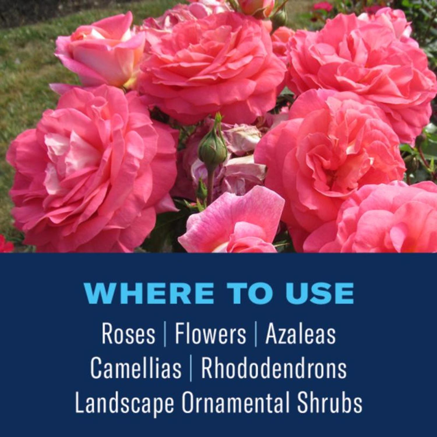 BioAdvanced Shrub Care Granules Protect & Feed 4 lb